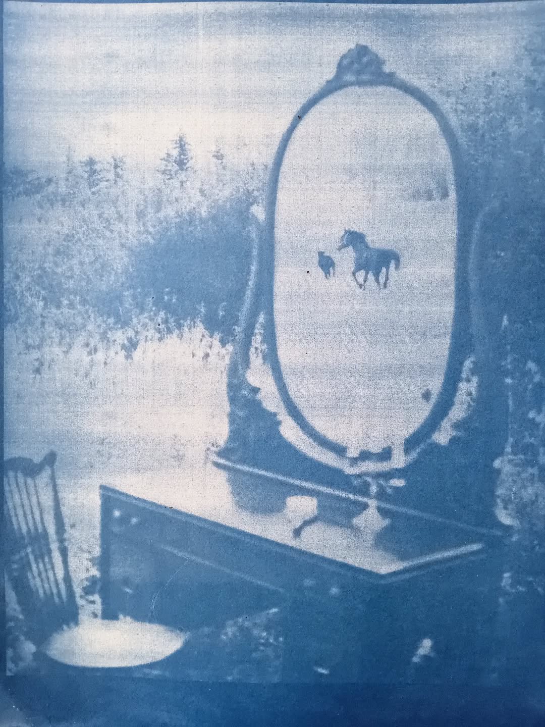 Au jardin 
Cyanotype sur papier