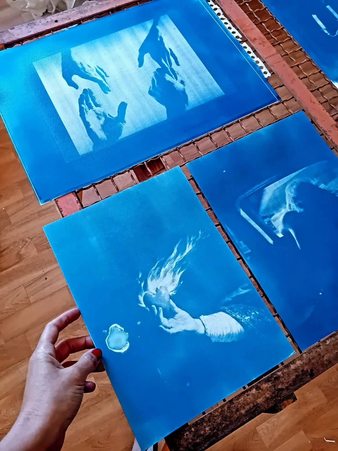 L'atelier, cyanotype.

#cyanotype, #artprint, #photographiealternative, #cyanotypeprint, #cyanotypephotography