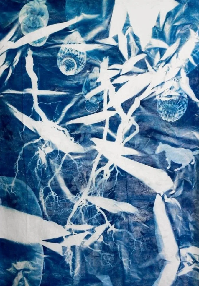 grand_cyanotype.jpg