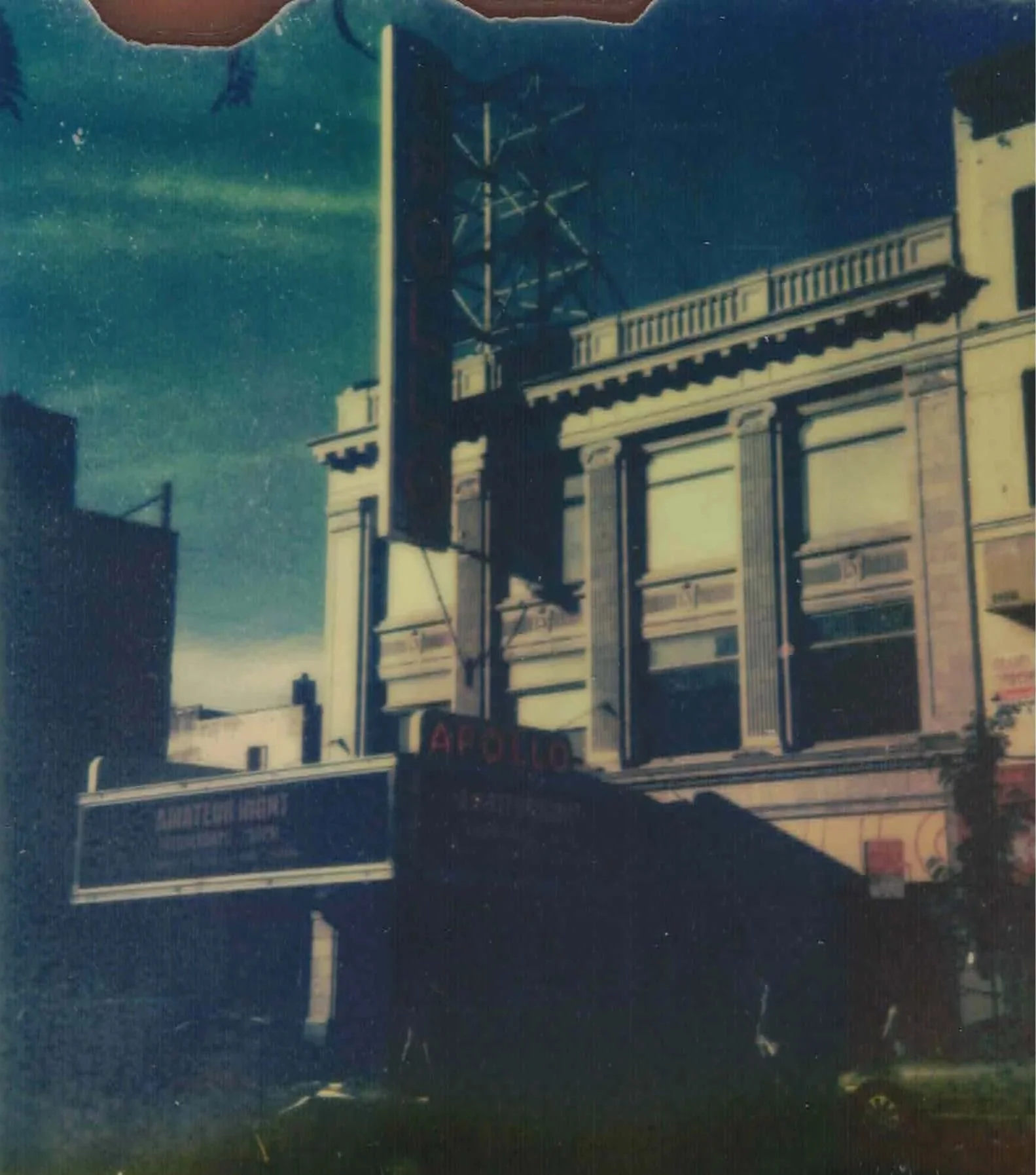 POLA+7.jpg