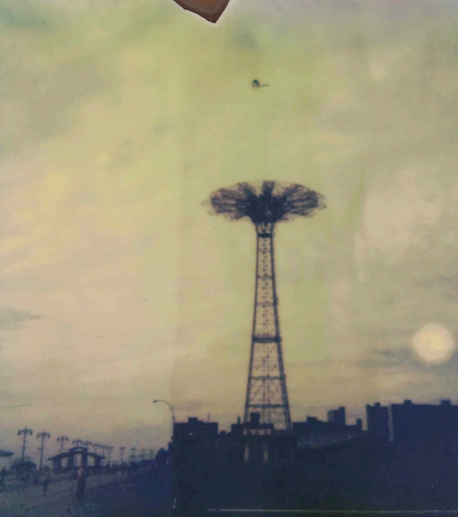 POLA+8.jpg