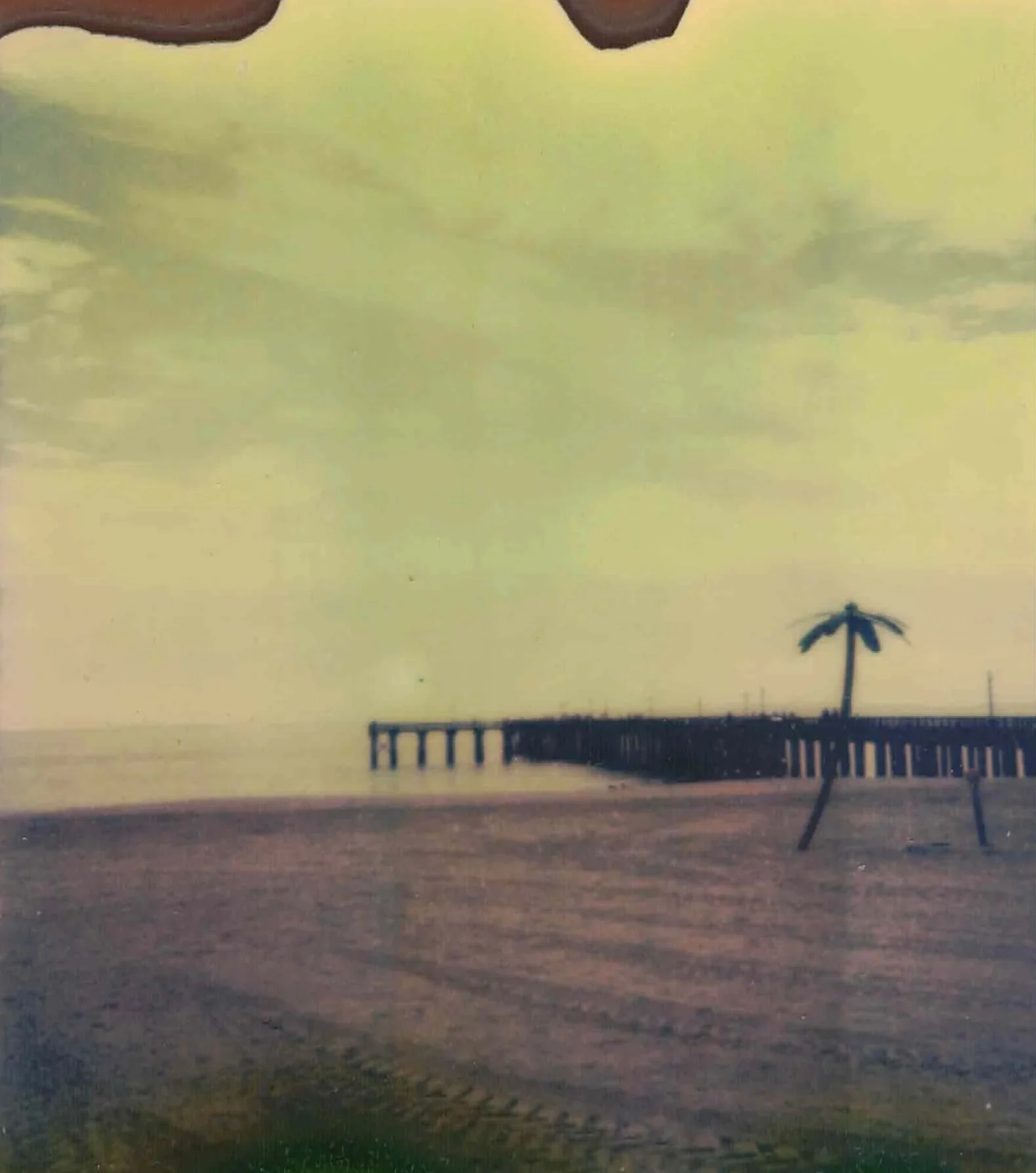 POLA+11.jpg