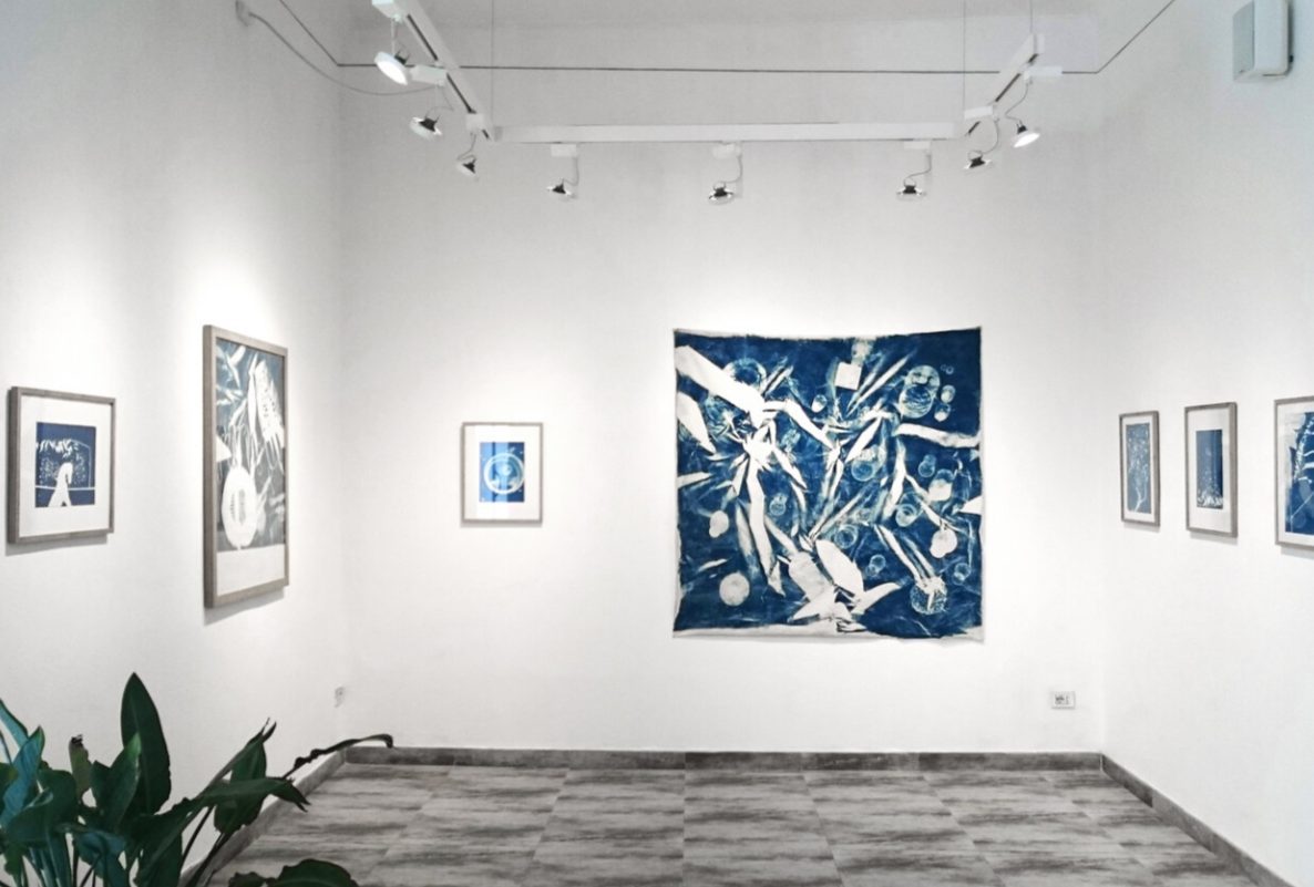 Vues d'expositions