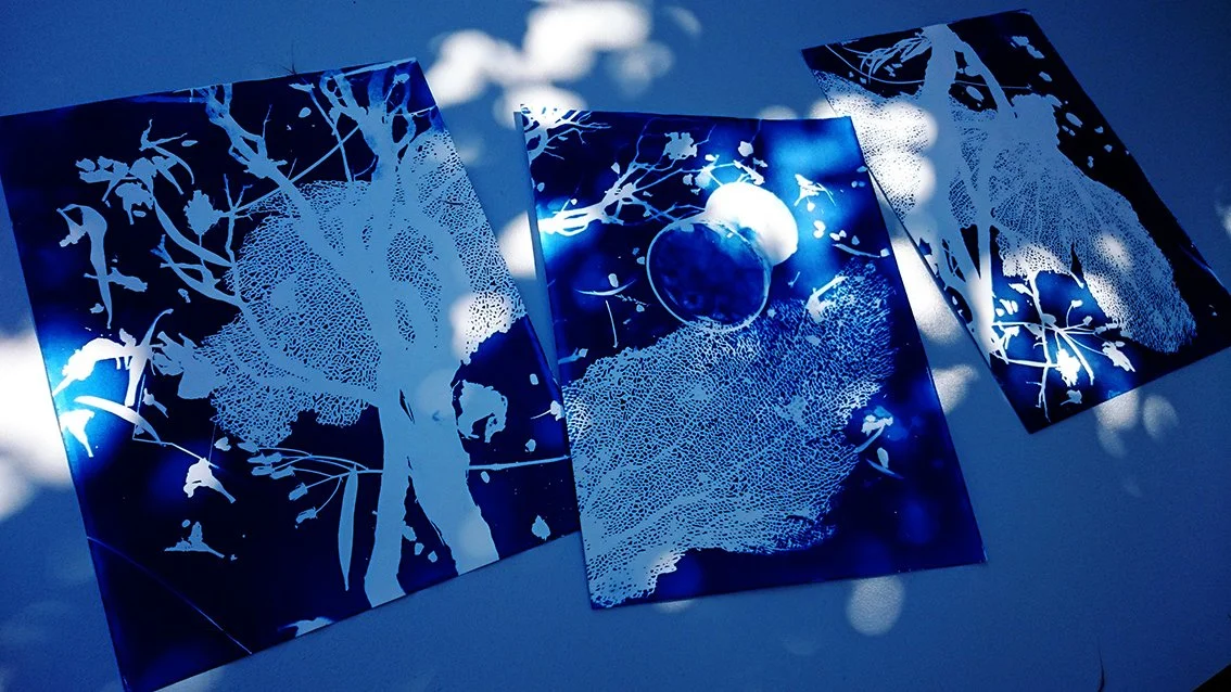 vue_cyanotypes-table-web©jeannieabert-01.jpg