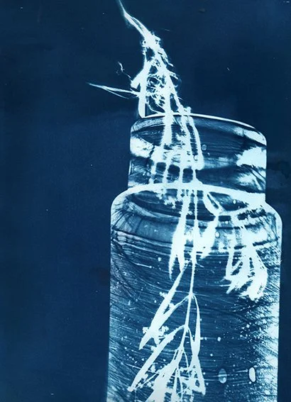 bocal6-web.jpg