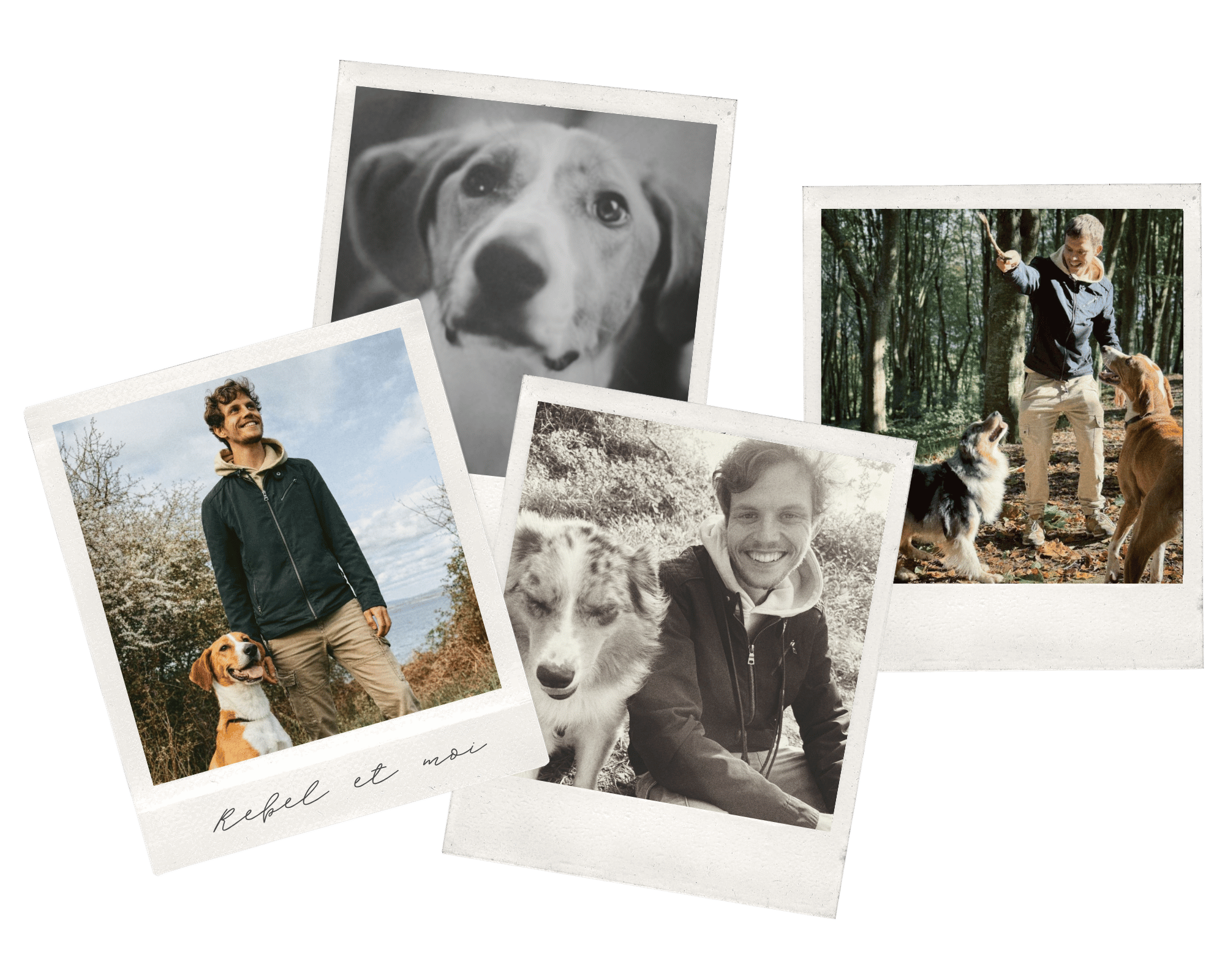Photos de Clément Soulard, éducateur canin en Finistère, avec des chiens lors de séances d'éducation canine en plein air