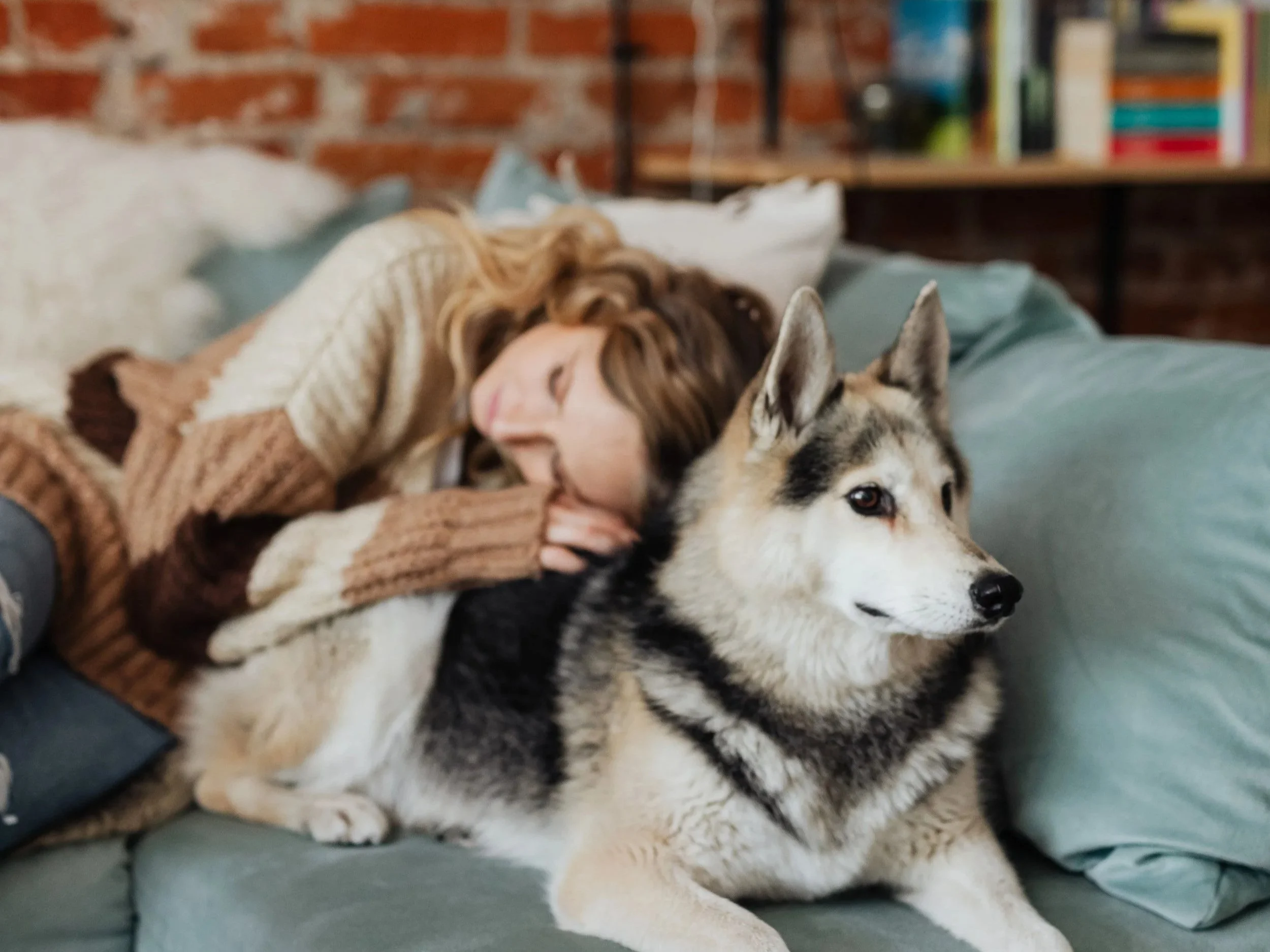 Faut-il faire stériliser son chien ?