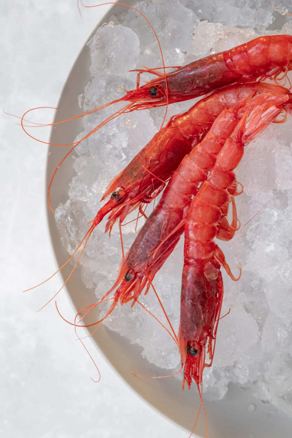 Food photography / Zanze XVI Venezia / Chef Masahiro Homma