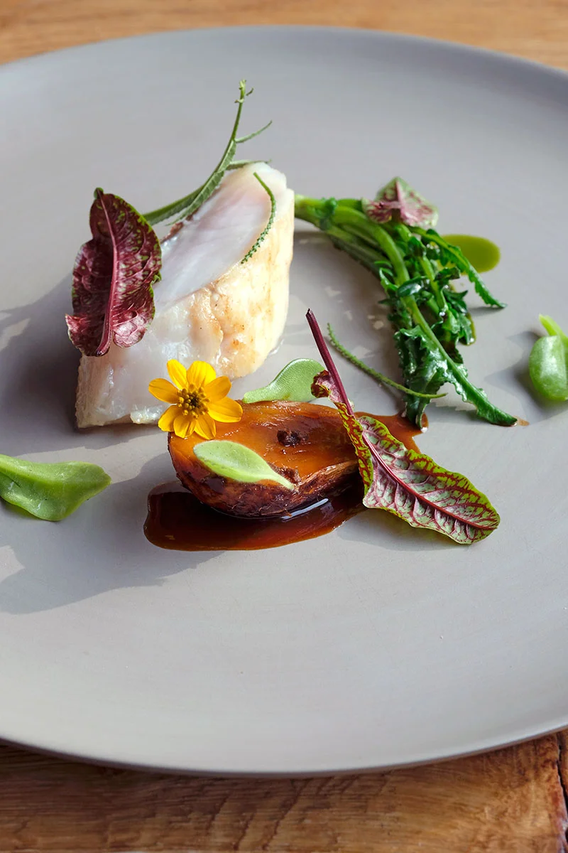 Food photography / Zanze XVI / Chef Marco Galtarossa