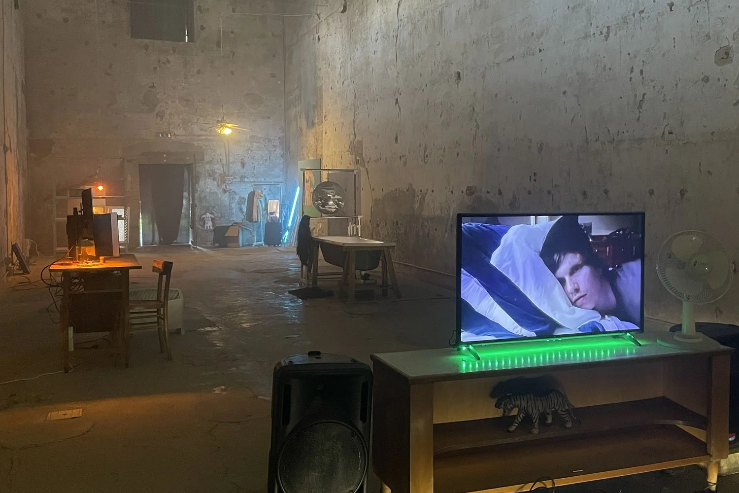  Peekaboo, mostra personale dell'artista  Spencer Lackey  a  Spazio Punch , Venezia. 