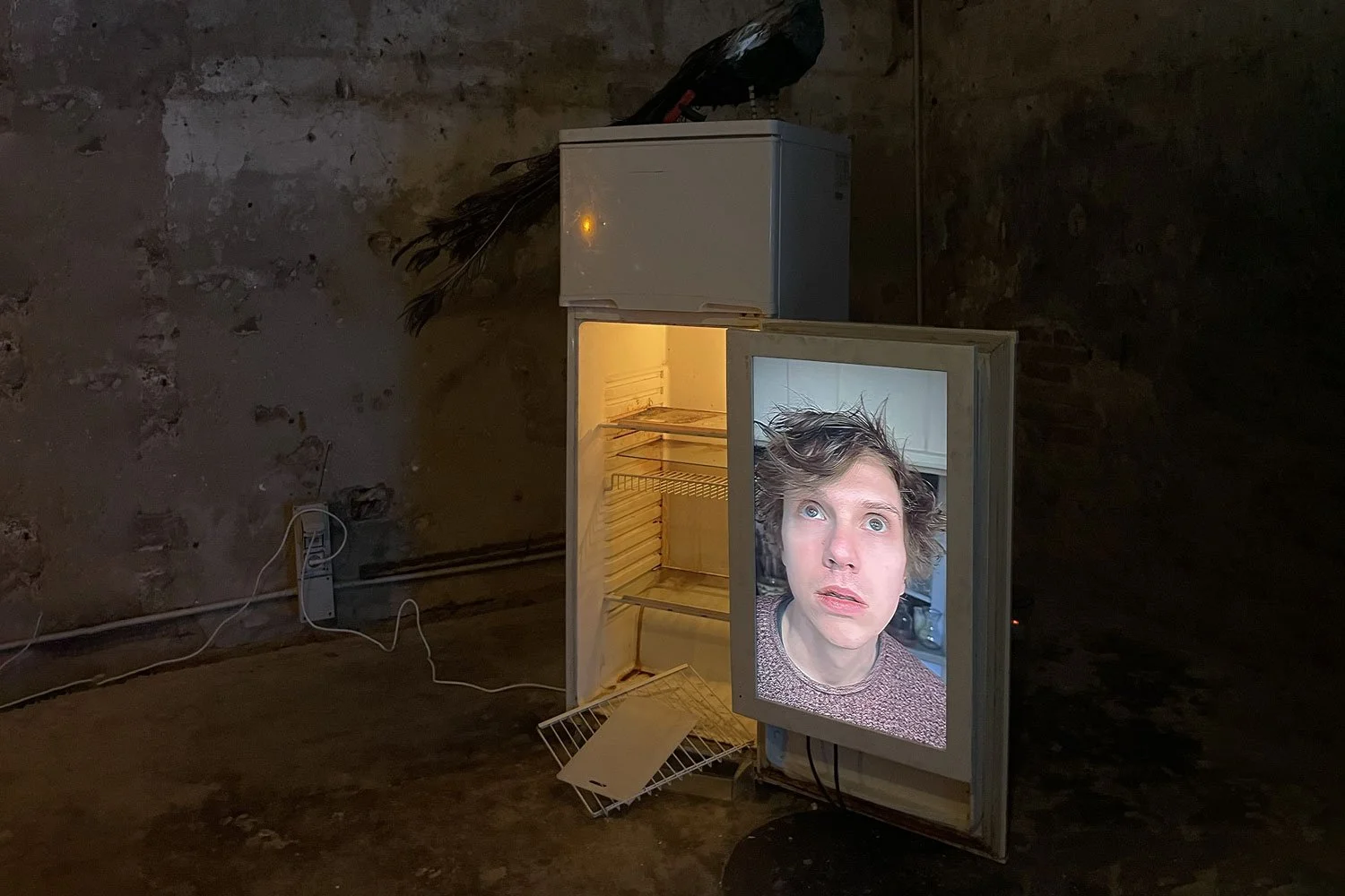  Peekaboo, mostra personale dell'artista  Spencer Lackey  a  Spazio Punch , Venezia. 