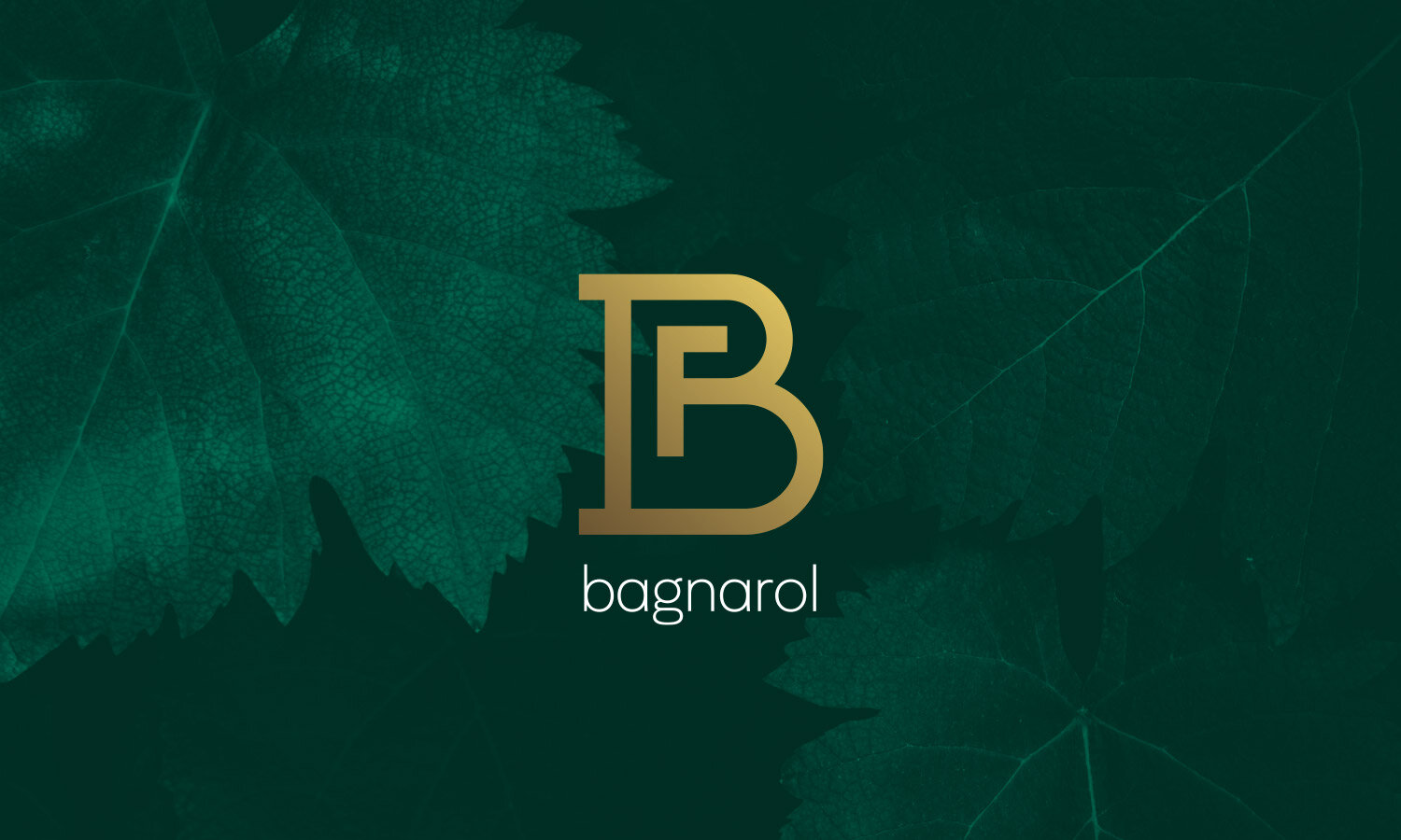  Logo, immagine coordinata e sito internet per l’azienda vitivinicola friulana Bagnarol. 