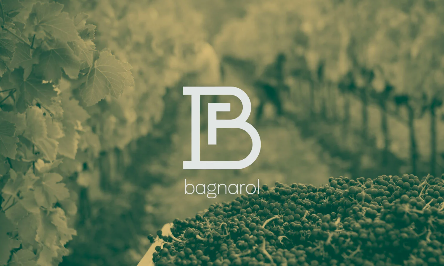  Logo, immagine coordinata e sito internet per l’azienda vitivinicola friulana Bagnarol. 