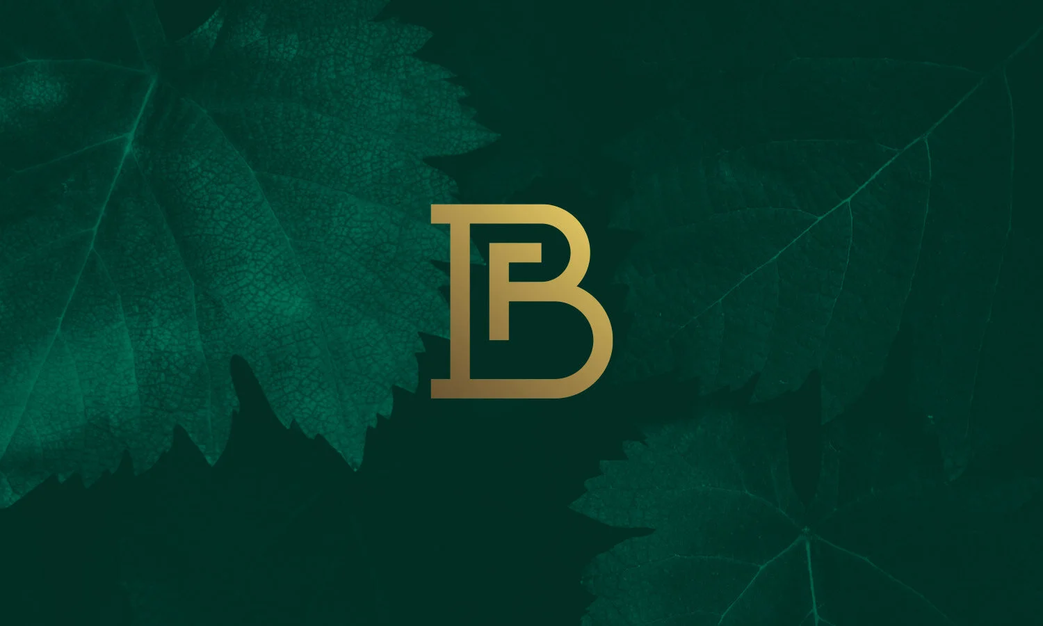  Logo, immagine coordinata e sito internet per l’azienda vitivinicola friulana Bagnarol. 