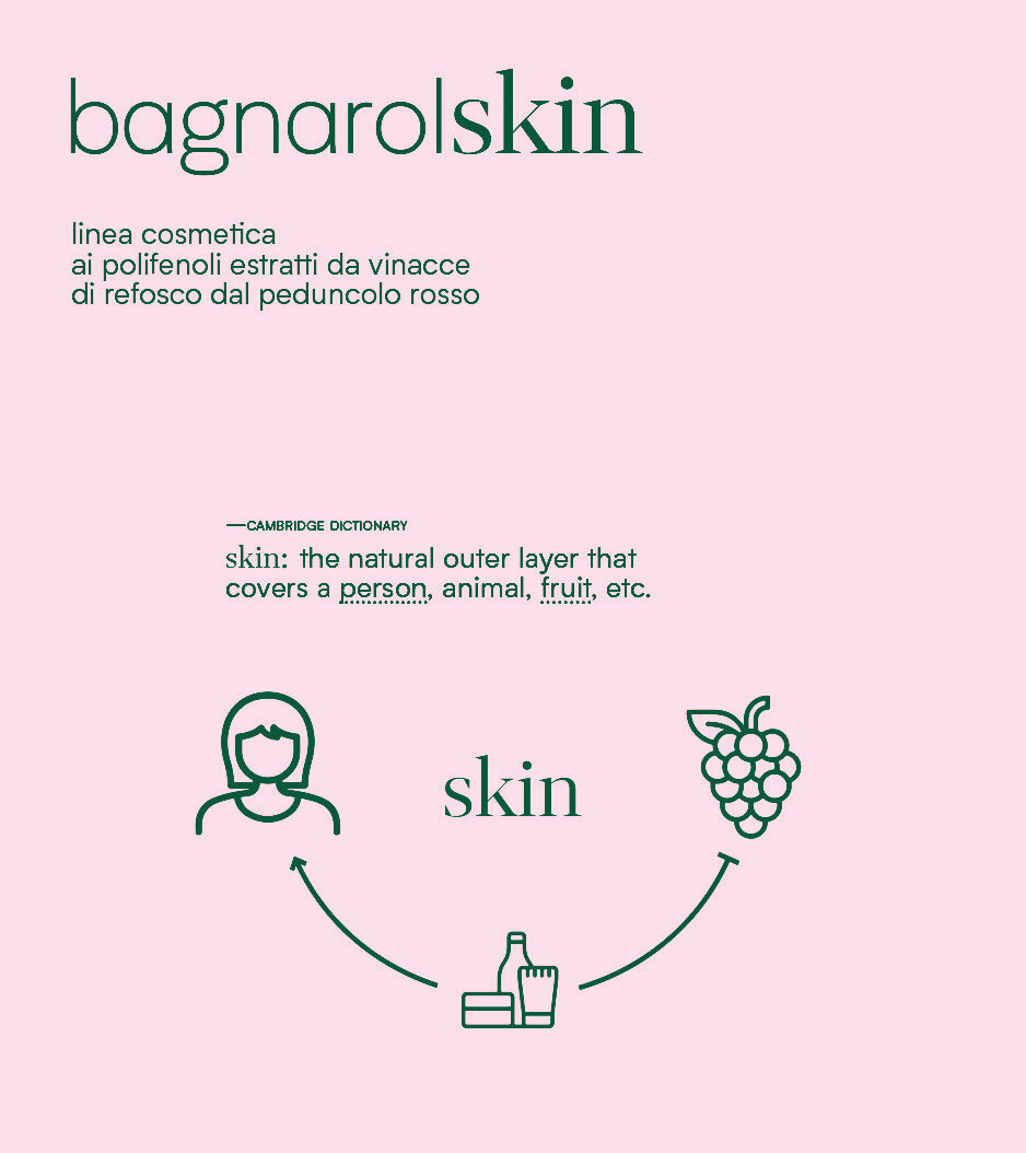 bagnarolskin14b.jpg