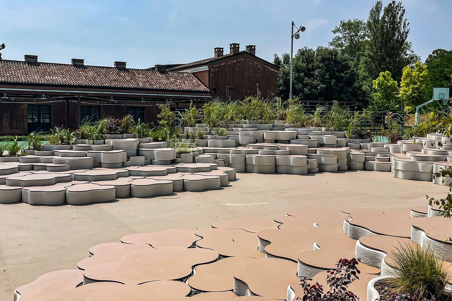 Un fiore a San Servolo