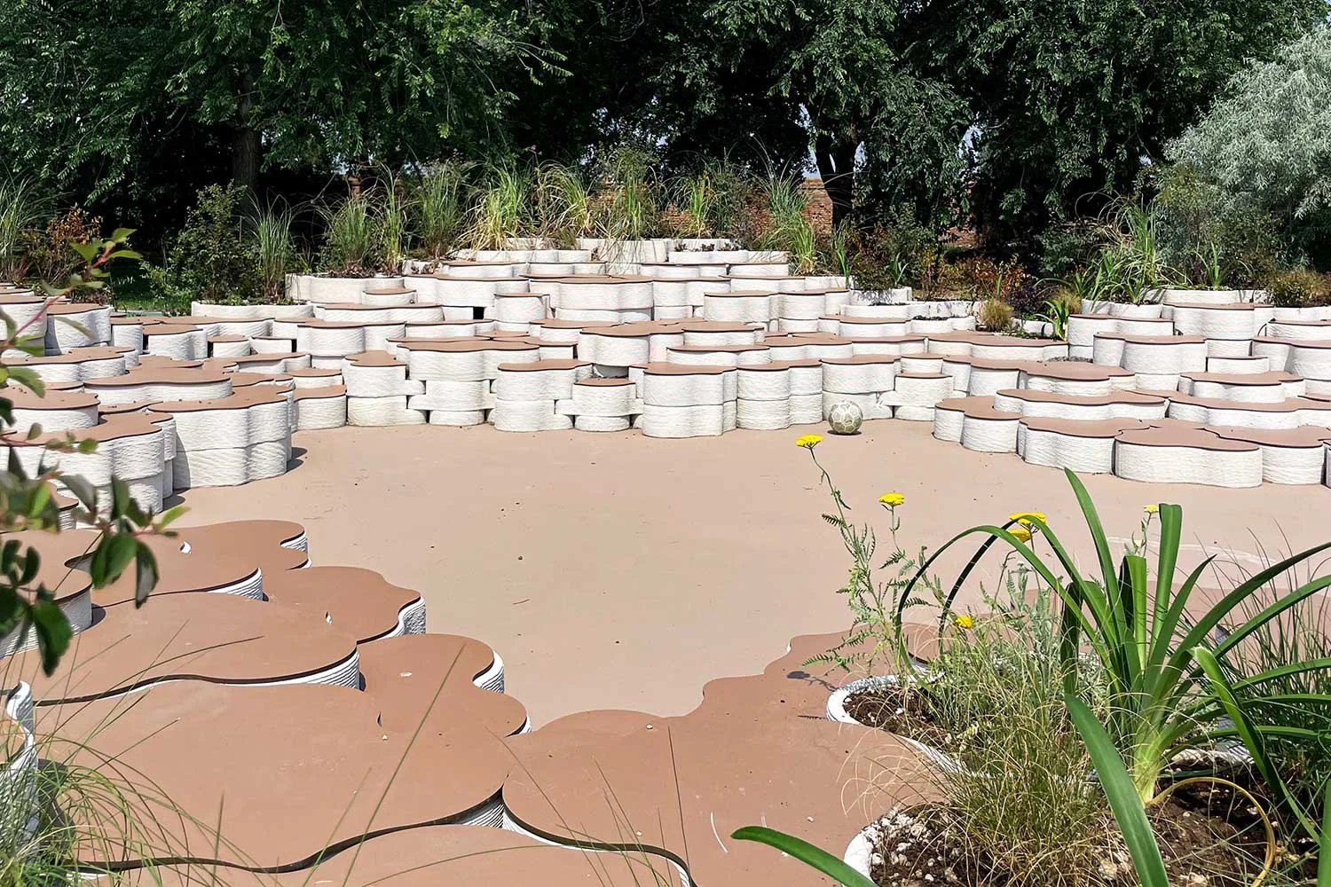 Un fiore a San Servolo