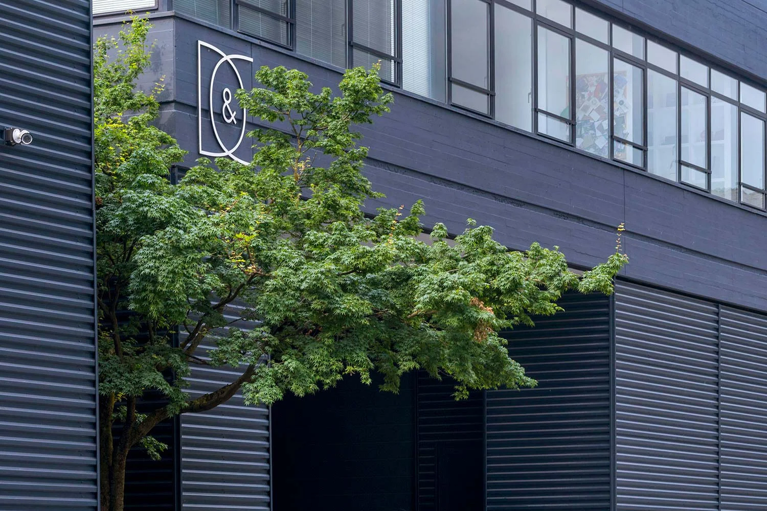 dabrazzi.com • photo Ottavio Tomasini