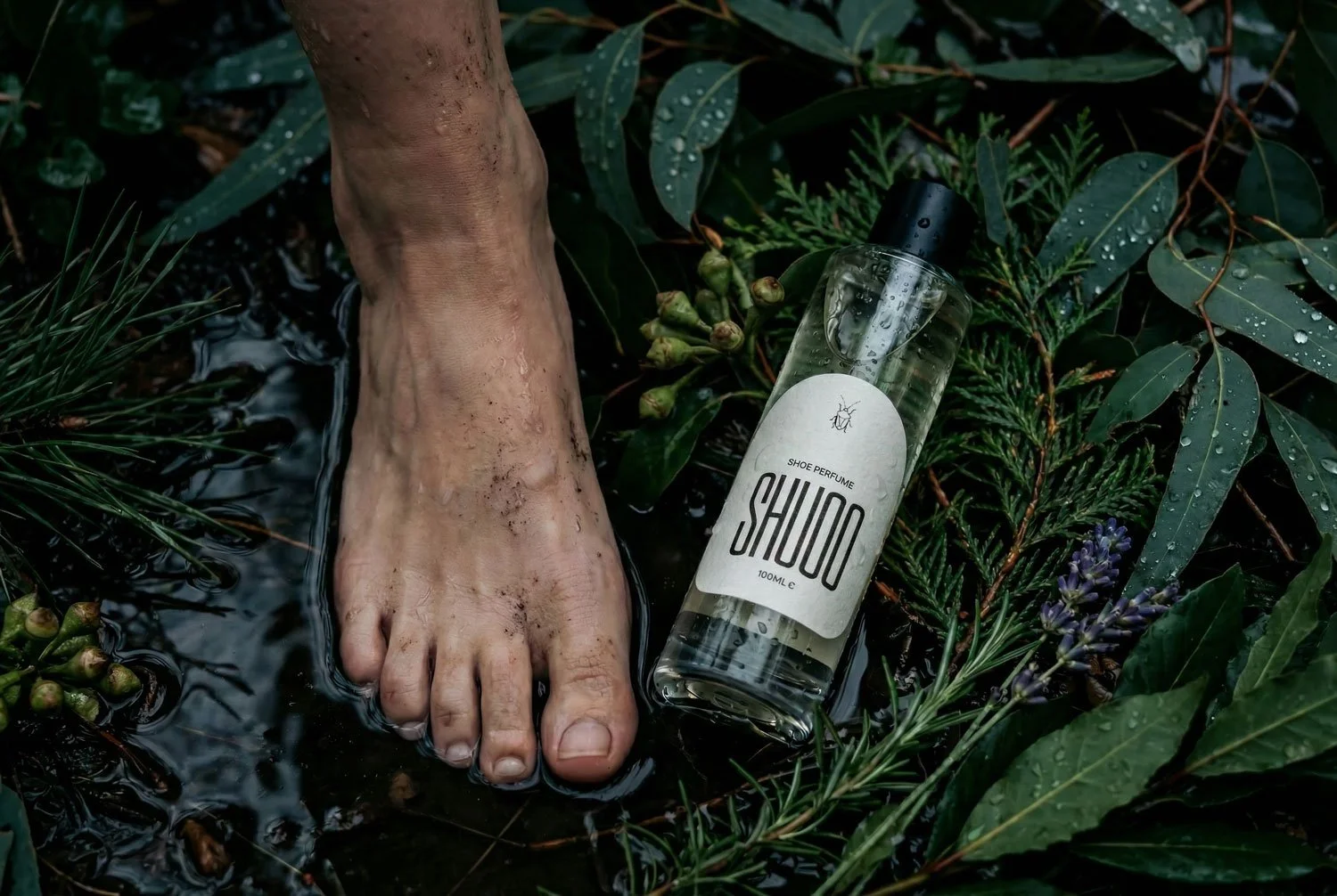 shuoo-bogue-15.jpg