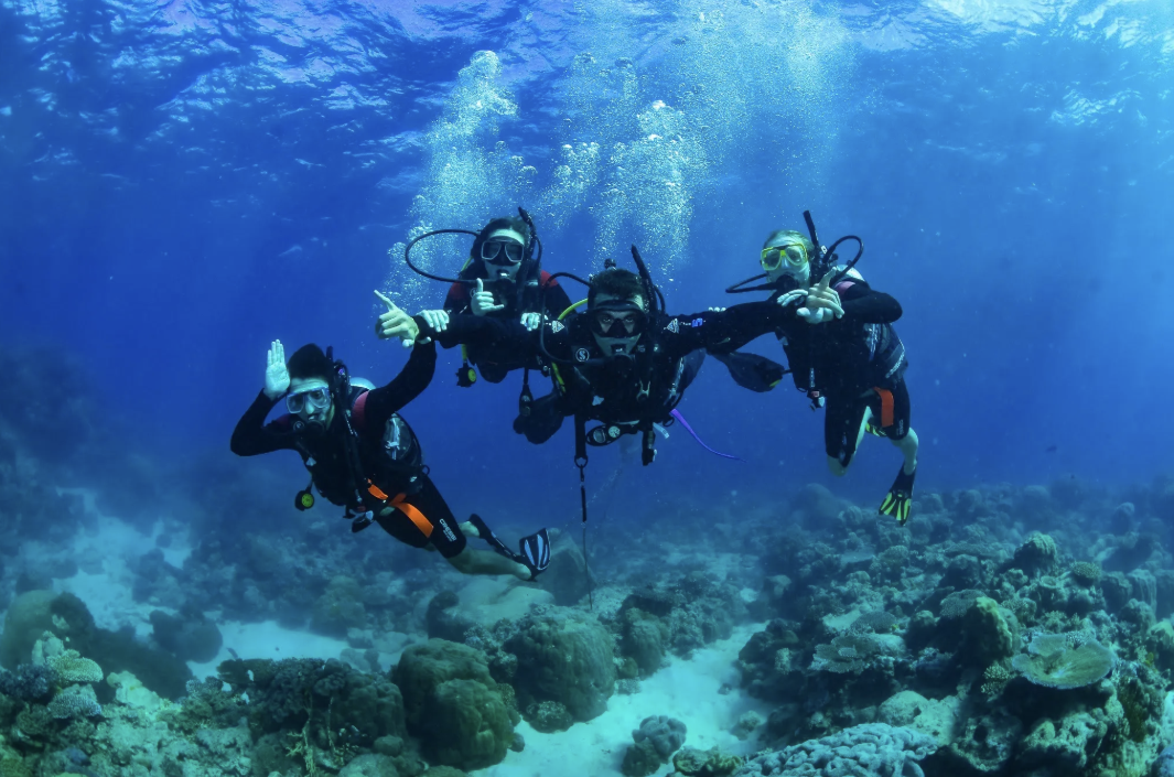Sydney Study Abroad Blogs