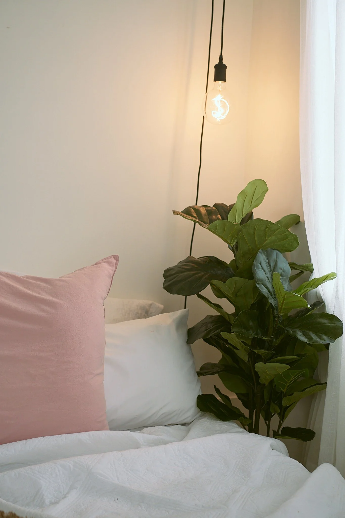 A cozy bedroom corner with a bed, pink and white pillows, a large green houseplant, a hanging light bulb, and a sheer white curtain.