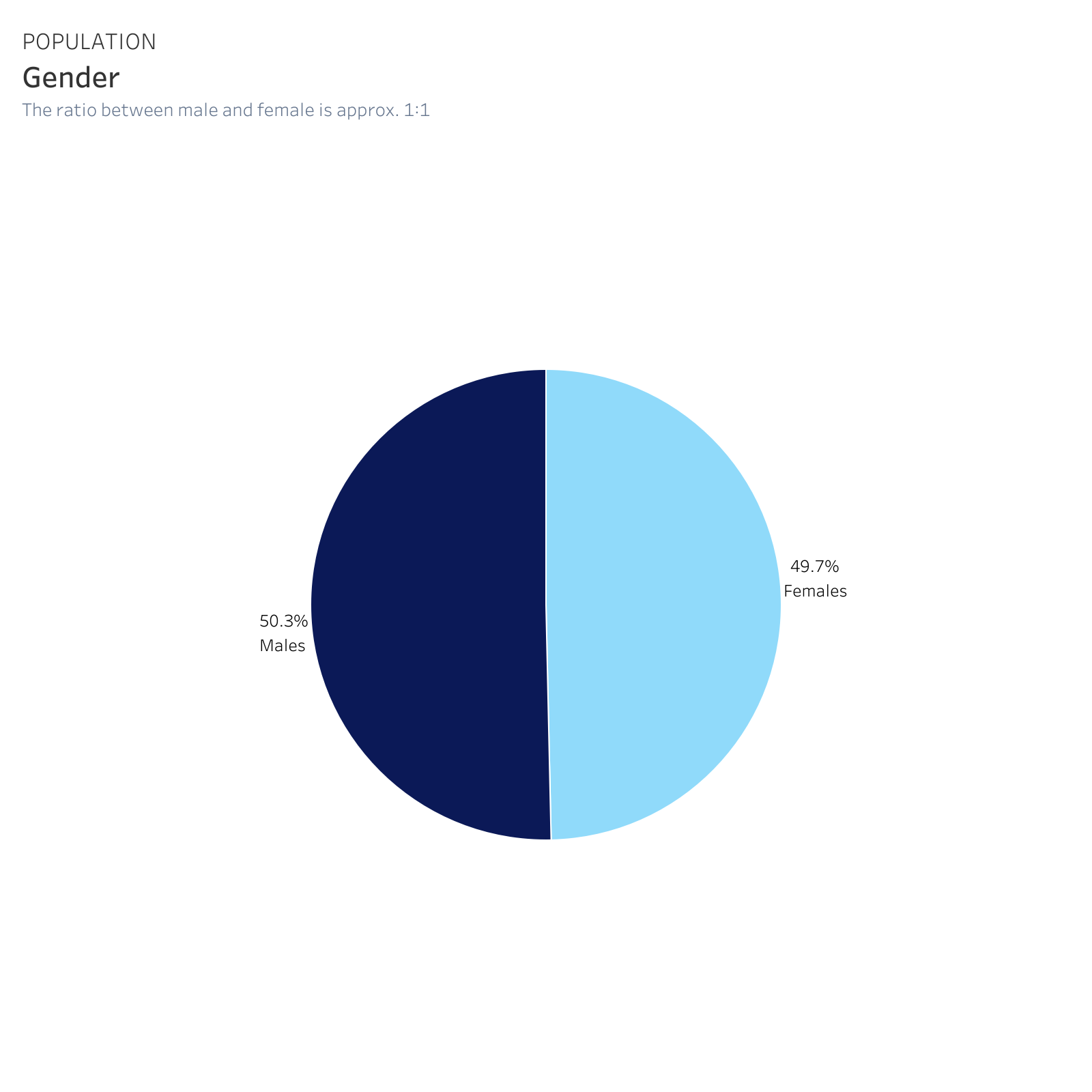 Pie chart showing gender distribution, approximately equal between males and females with males at 50.3% and females at 49.7%.