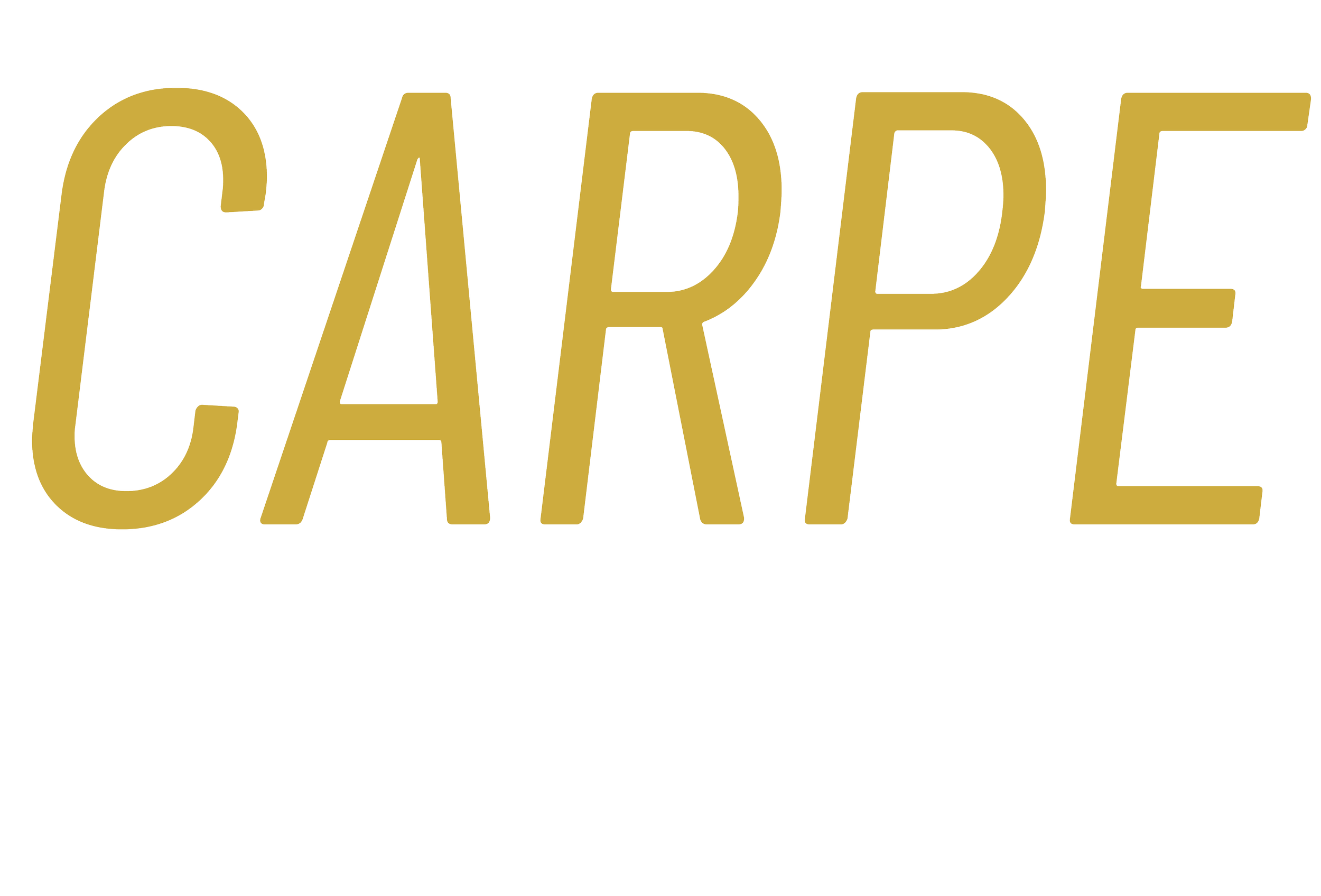 CARPE Coaching™ logo | Integrated Executive Team & Leadership Coaching