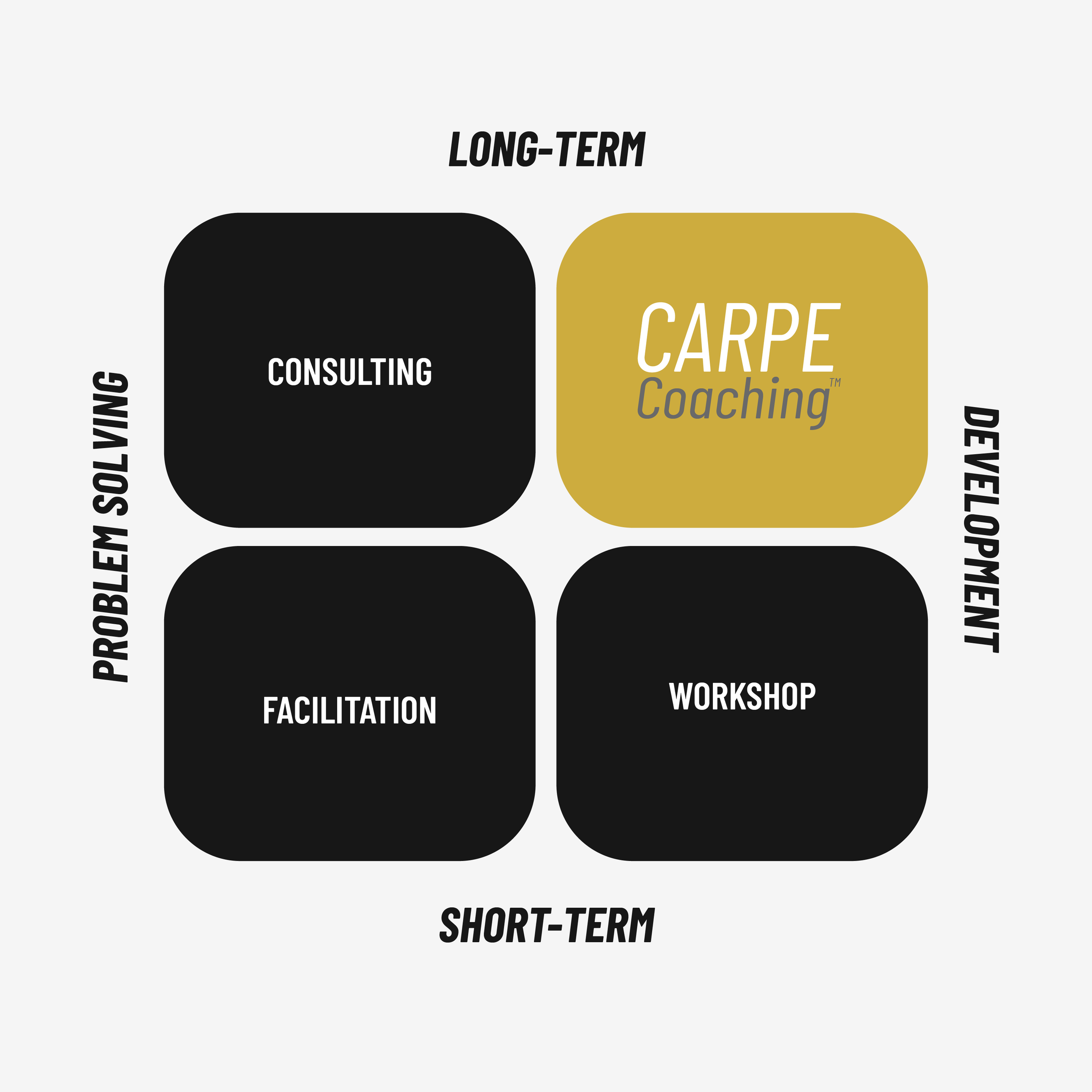 CARPE Coaching™ | Integrated Executive Team & Leadership Development Coaching