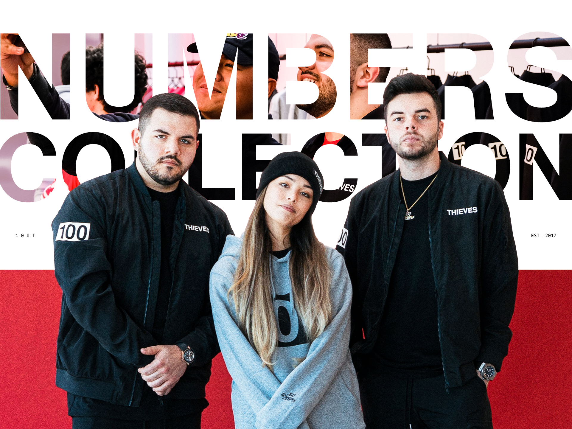 100 Thieves Project