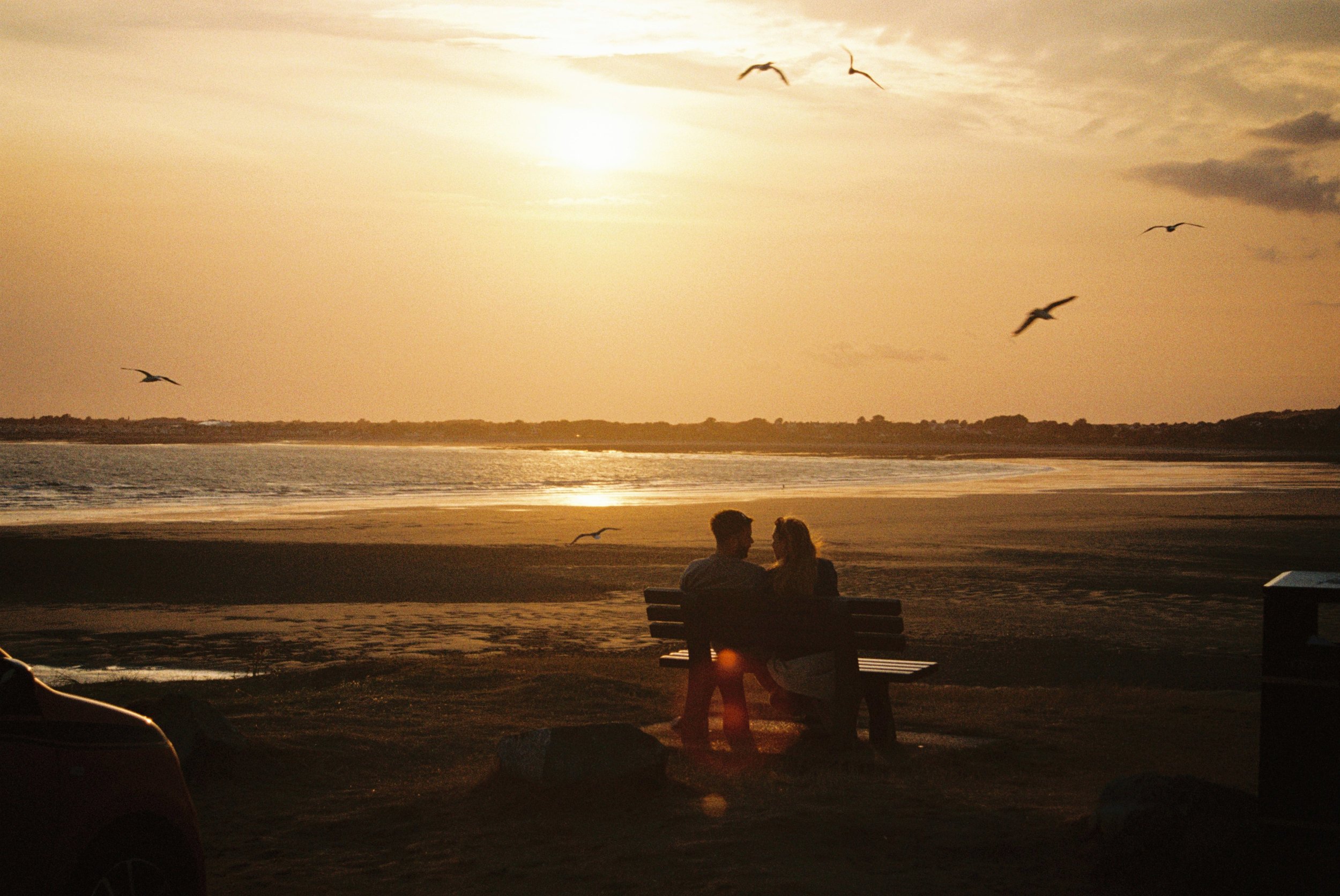 A sunset at the beach with a couple sitting on a bench and seagulls flying in the sky.
