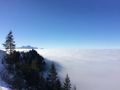 ‘Deliberate’ errors