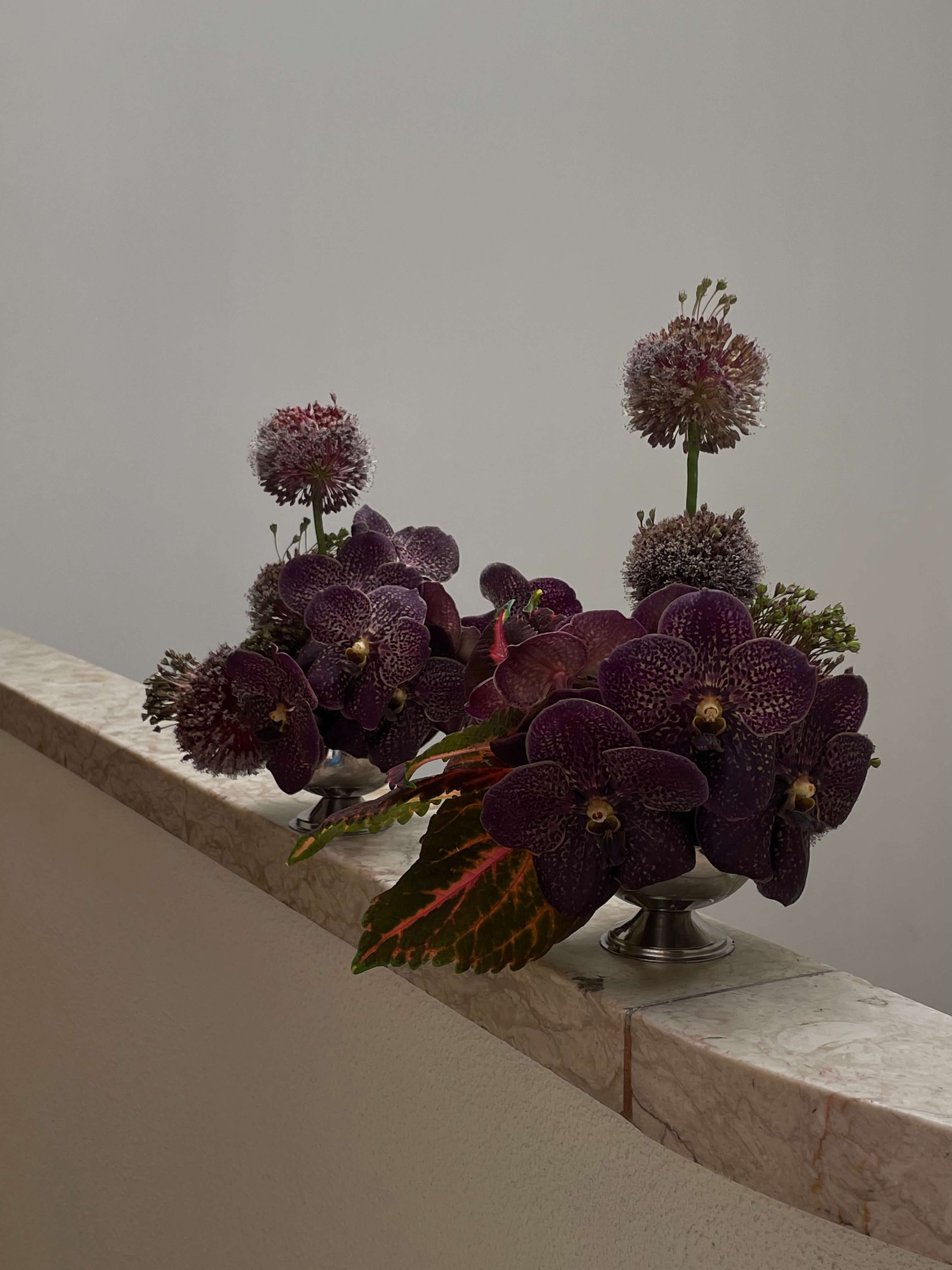 IMG_1705.jpeg