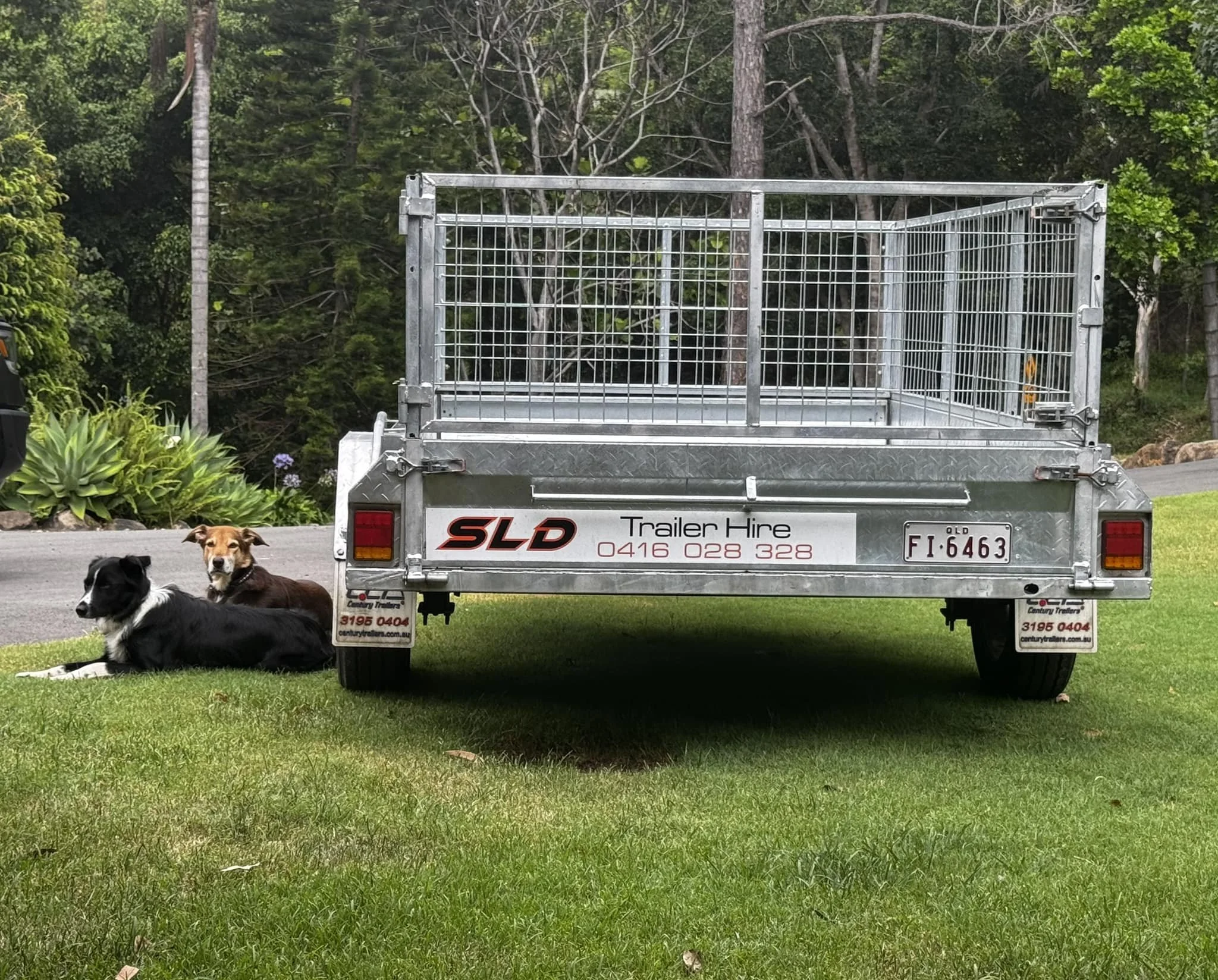 SLD Trailers and Plant Hire Gold Coast. A metal trailer with wire mesh sides parked on grass next to two dogs lying down, with a wooded area and a driveway in the background.