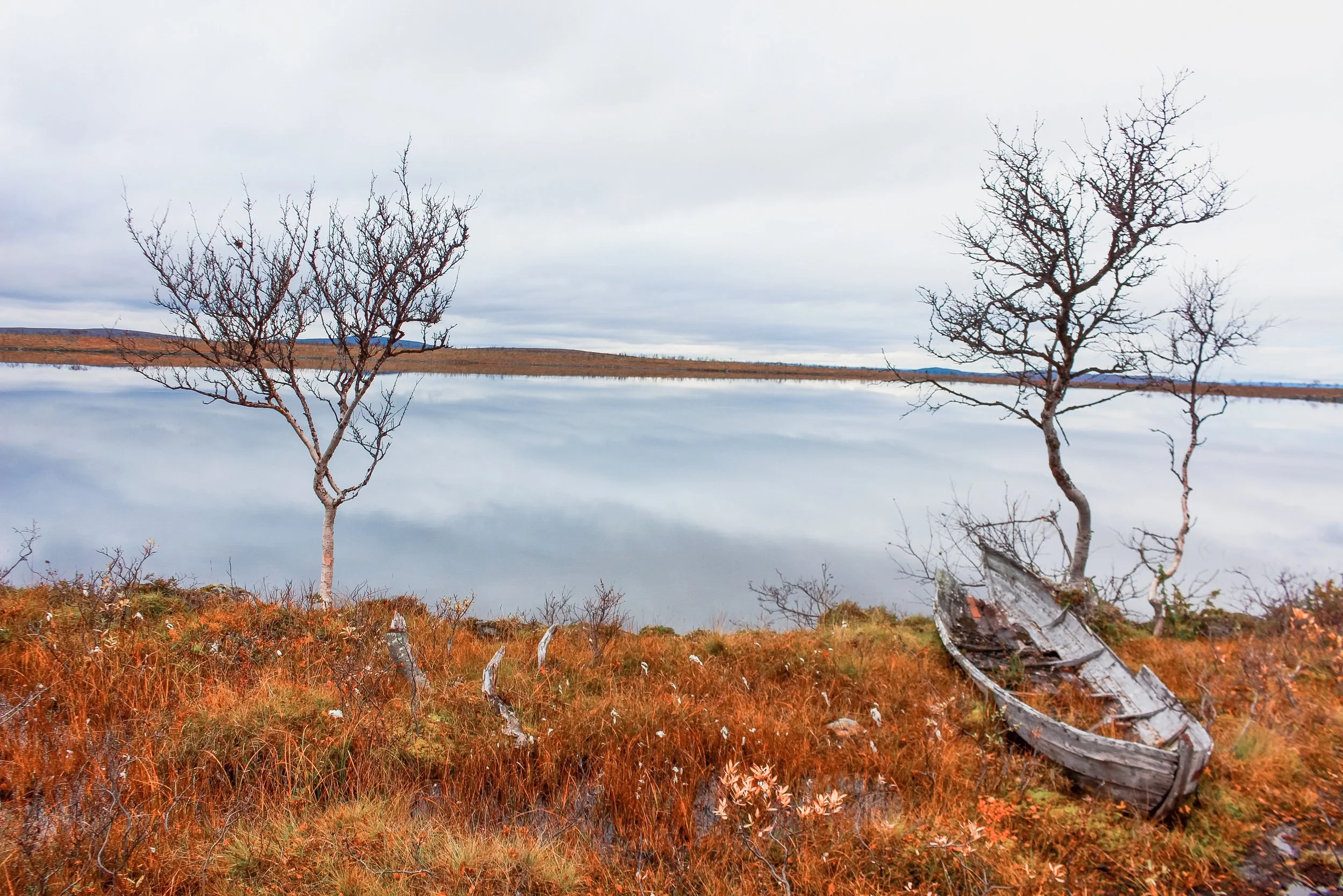 valkoiset-64 (1).jpg