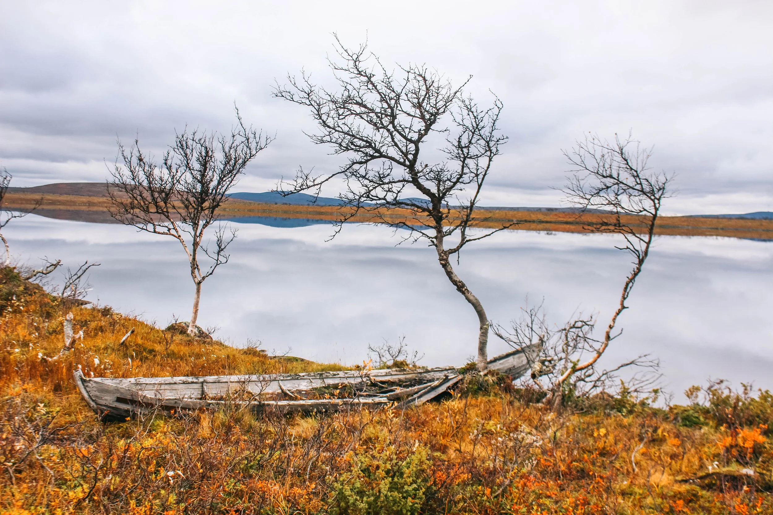 loimulohi-39.jpg