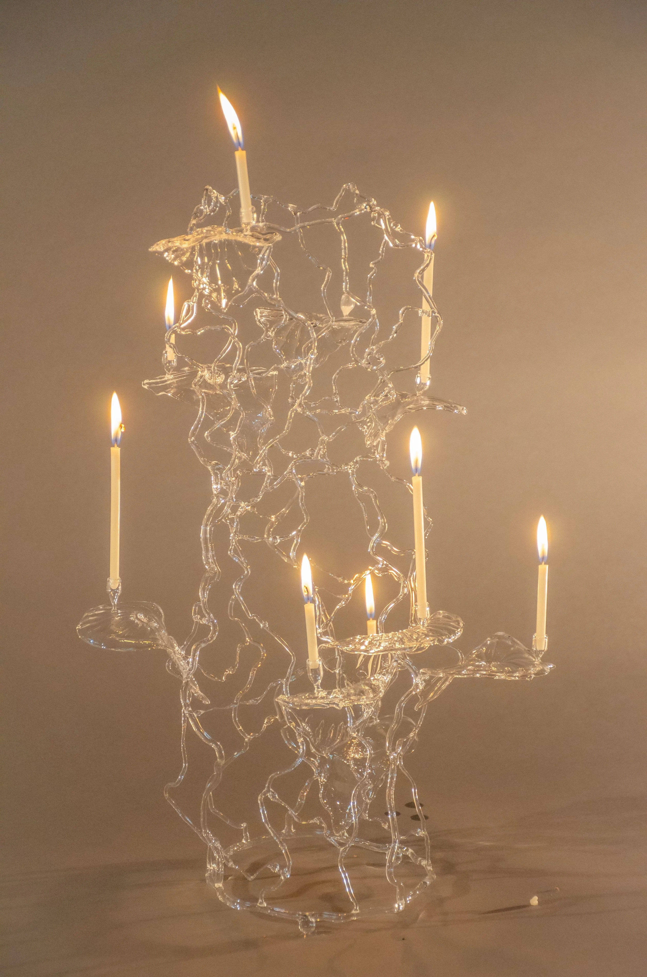 Polypore_Candelabra-5.jpg