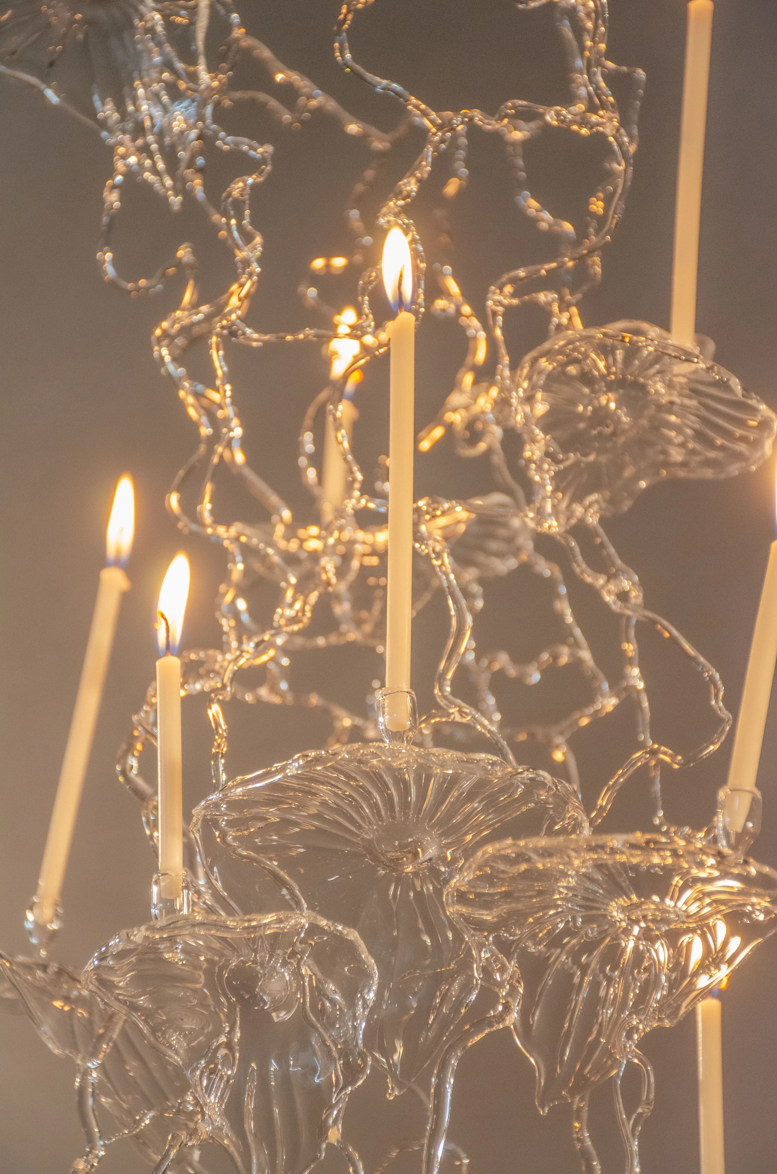 Polypore_Candelabra-3.jpg
