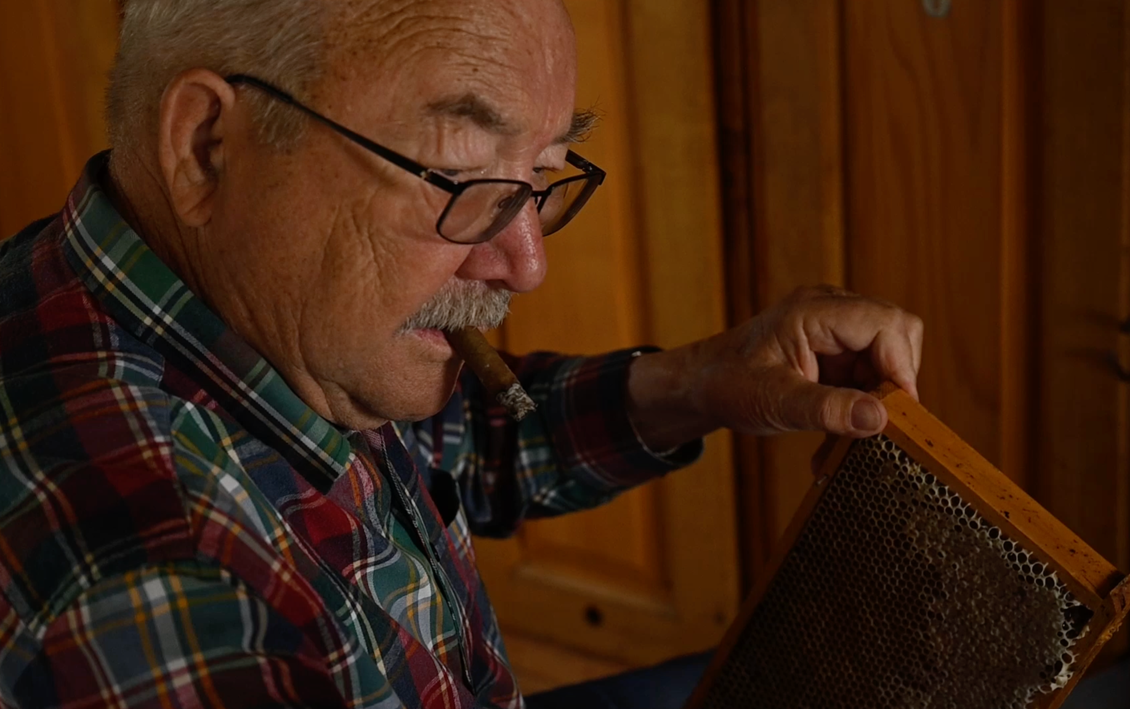 Werbevideo – Honig