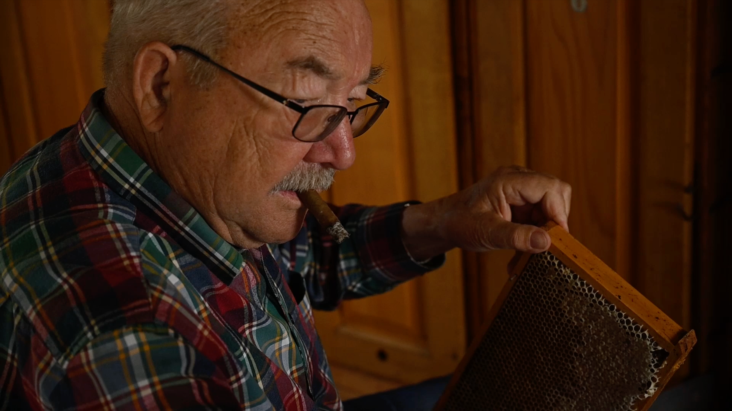 Älterer Mann mit Brille raucht Zigarre und inspiziert einen Bienenstock auf einem Holzrahmen.