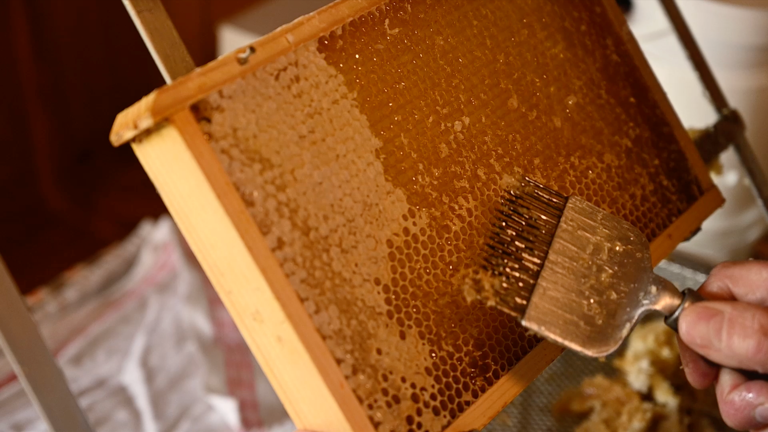 Nahaufnahme eines Honigrahmens mit abgeschleudertem Honig, der mit einem Schleuderbesen entnommen wird.