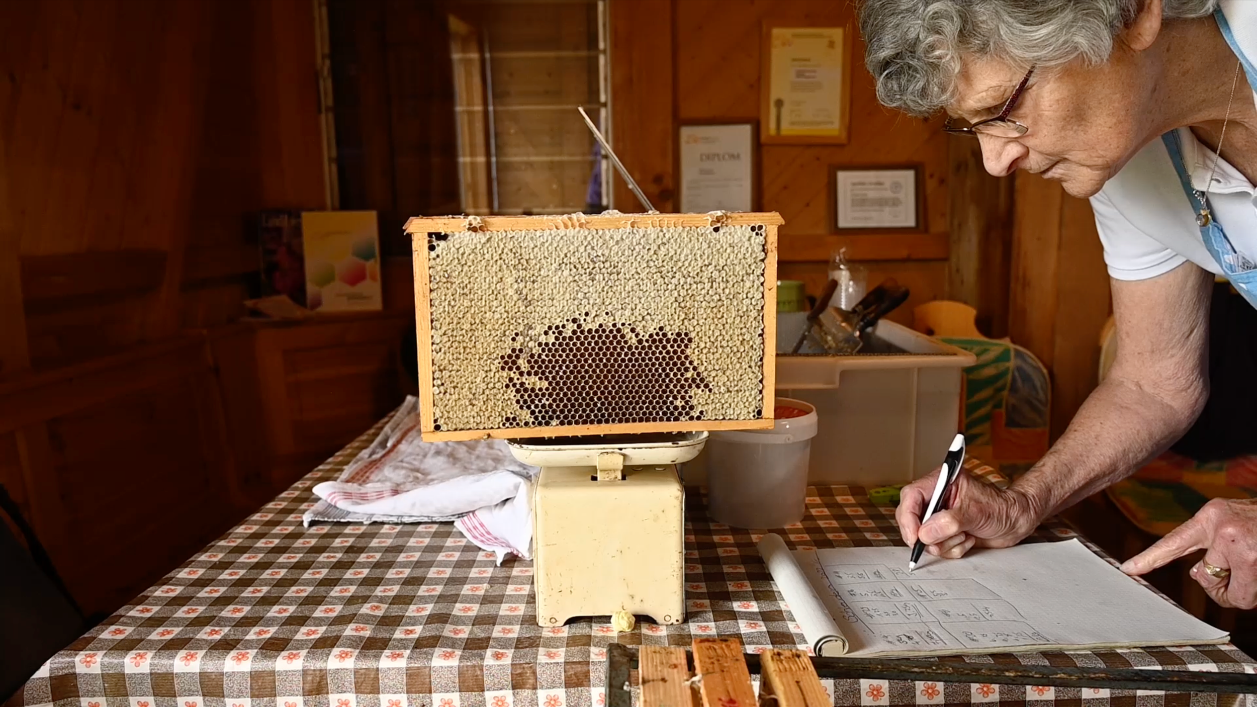 Ältere Frau schreibt auf einem Notizblock, während eine Bienenwabe auf einer Waage auf einem Tisch steht.