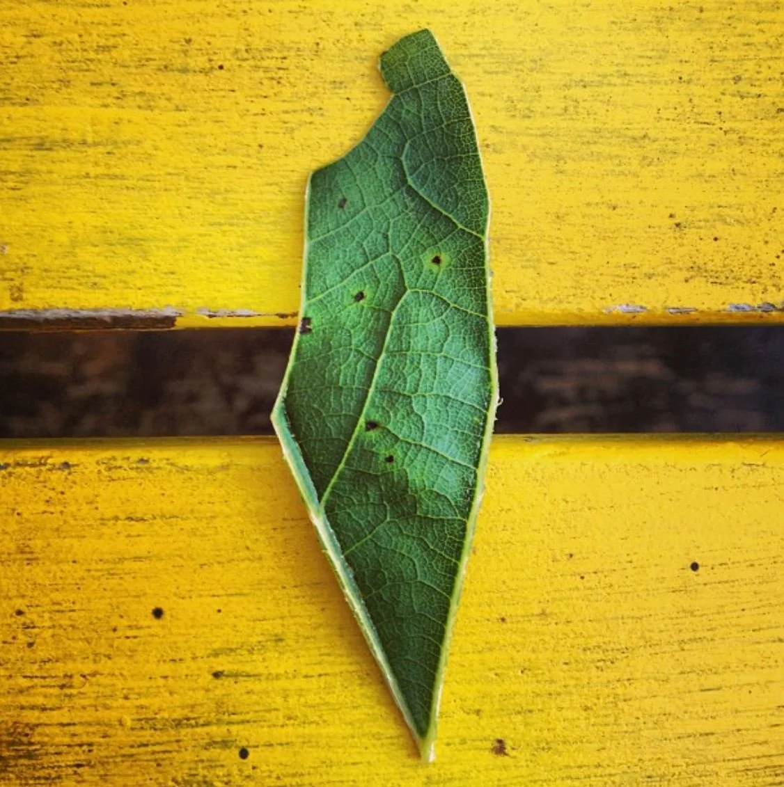 Israel, 2013, Digital