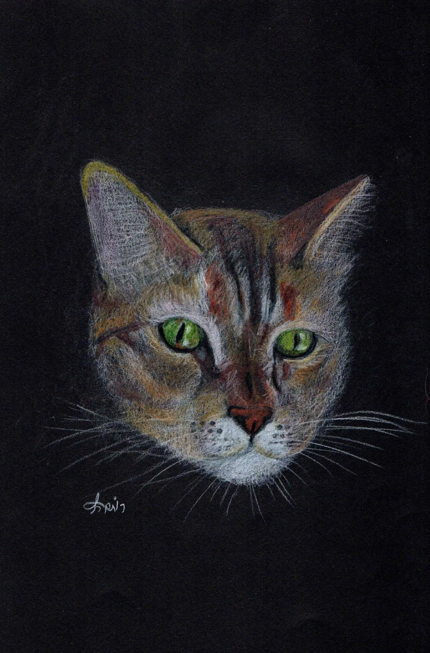 Sia, Colored Pencils on Black Canvas, 22x32