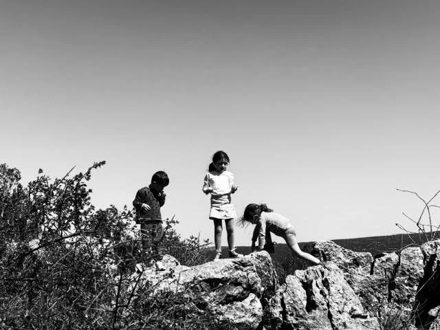 Conquers, 2024, 35 mm