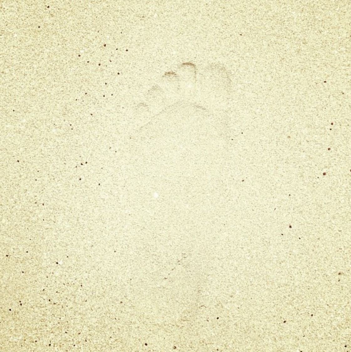 Beach, 2008, Digital