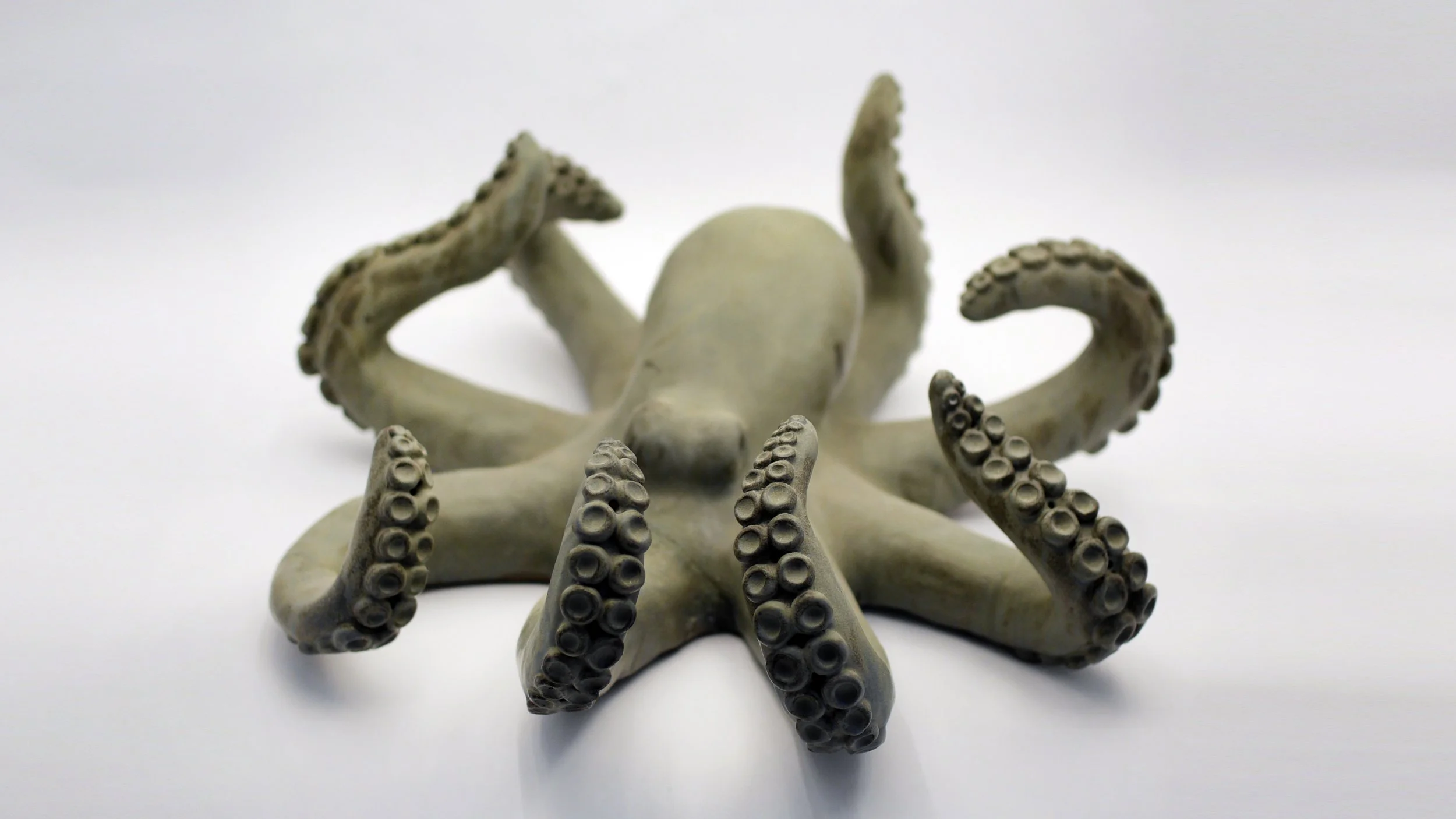 Octopus, 1200°, Hand