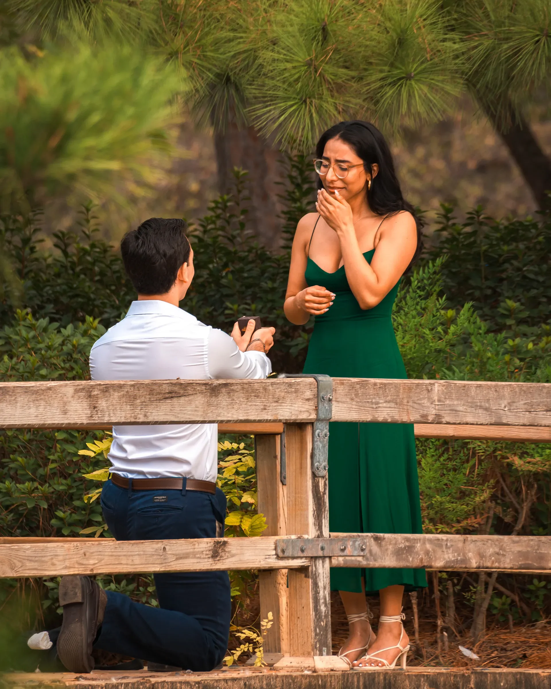 A Couple in an amazing moment during their engagement photoshoot at Hermann Park in the Japanese Garden in Houston.