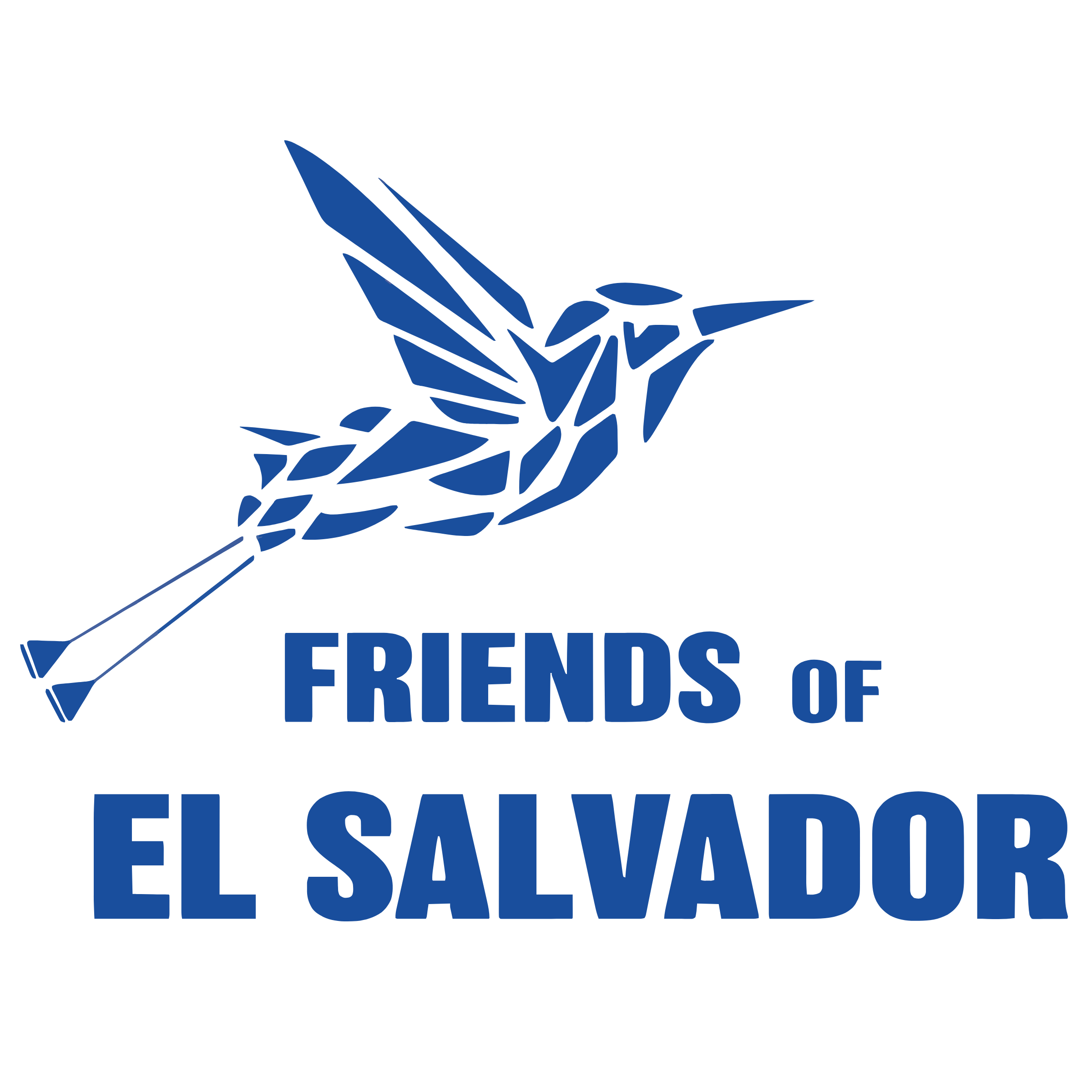 Friends of El Salvador Logo