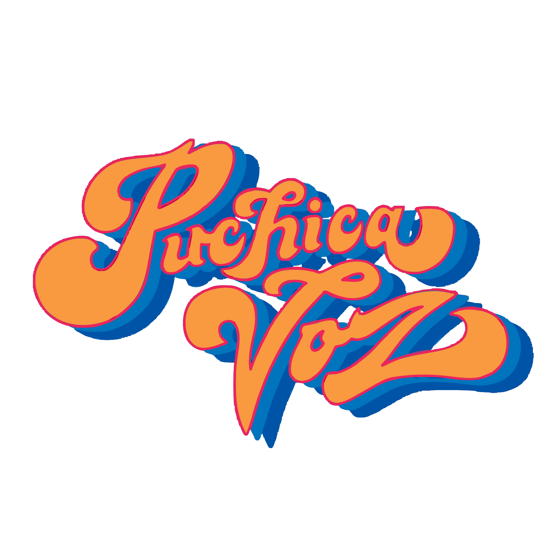 Puchica Voz is a Non-Profit Organization in Houston. Mostly tied into the Salvadorian Communities here.