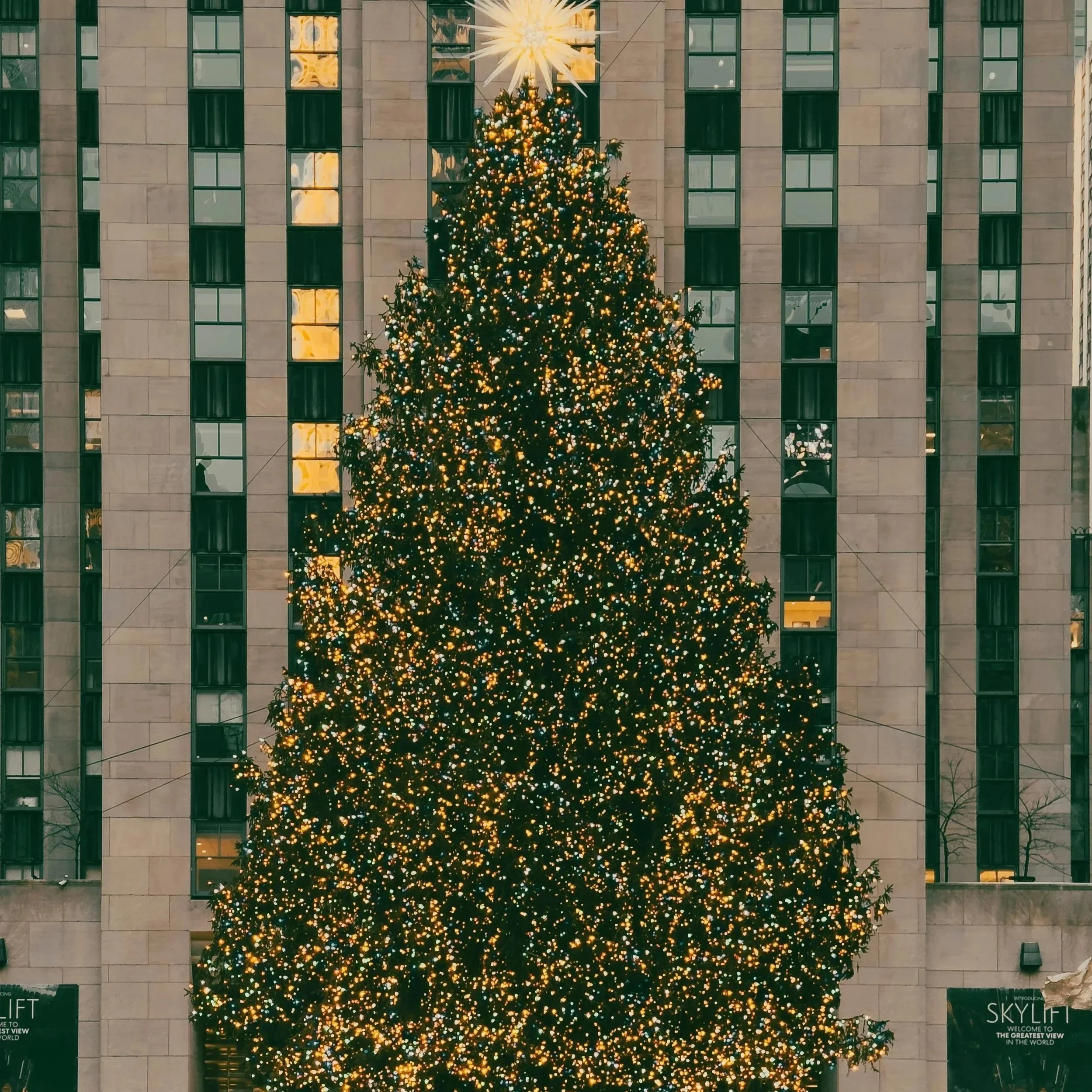 Top 5 NYC Christmas Light Displays for a Magical Holiday Escape